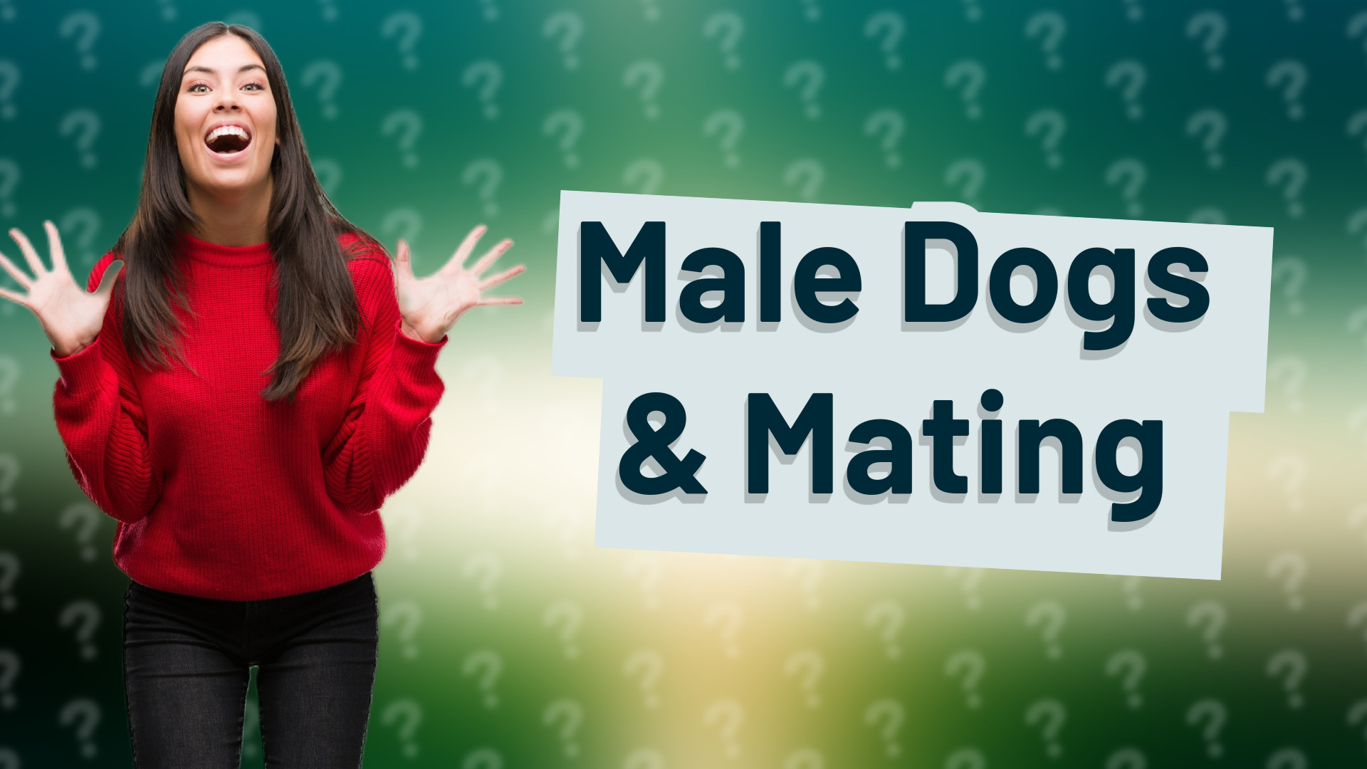 Male Dogs & Mating