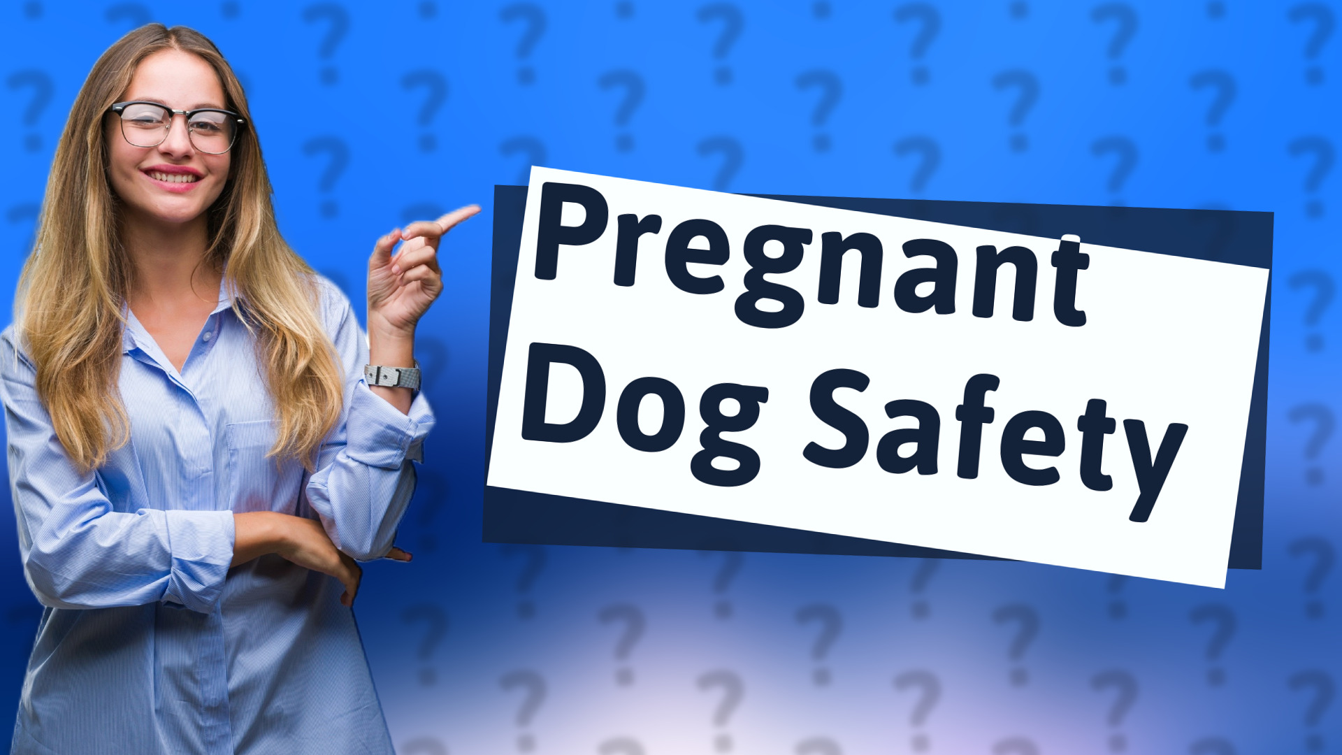 Pregnant Dog Safety