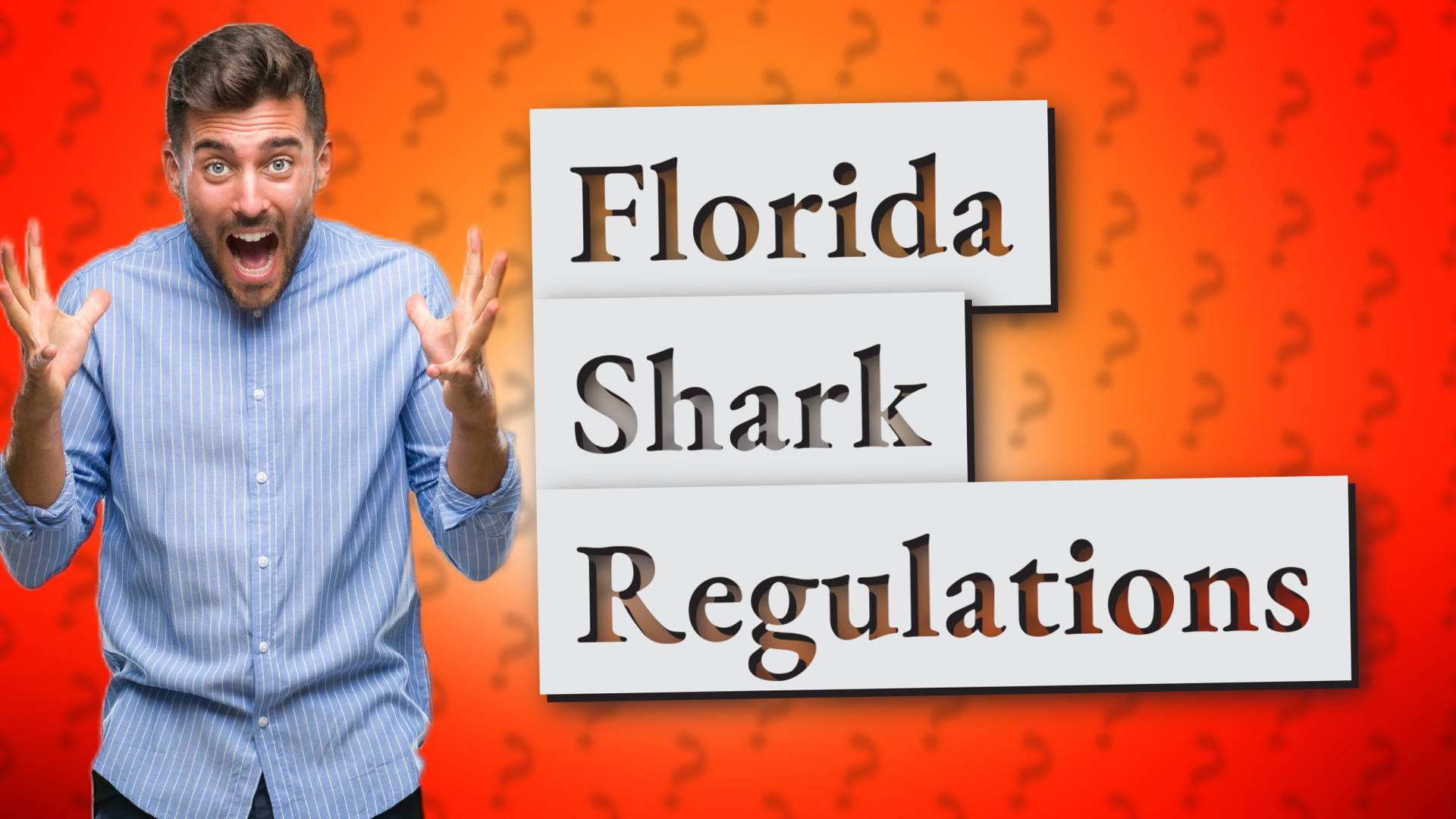Florida Shark Regulations