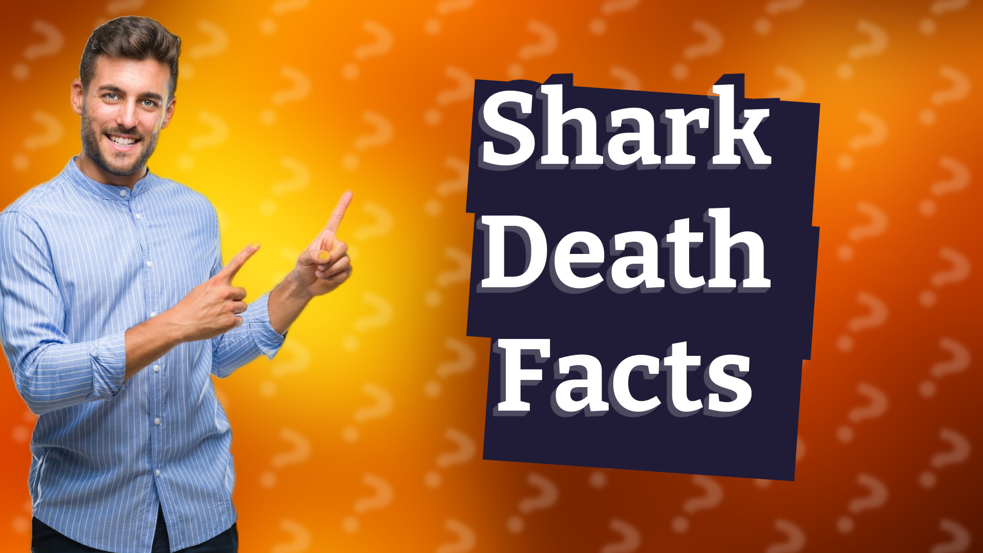 Shark Death Facts