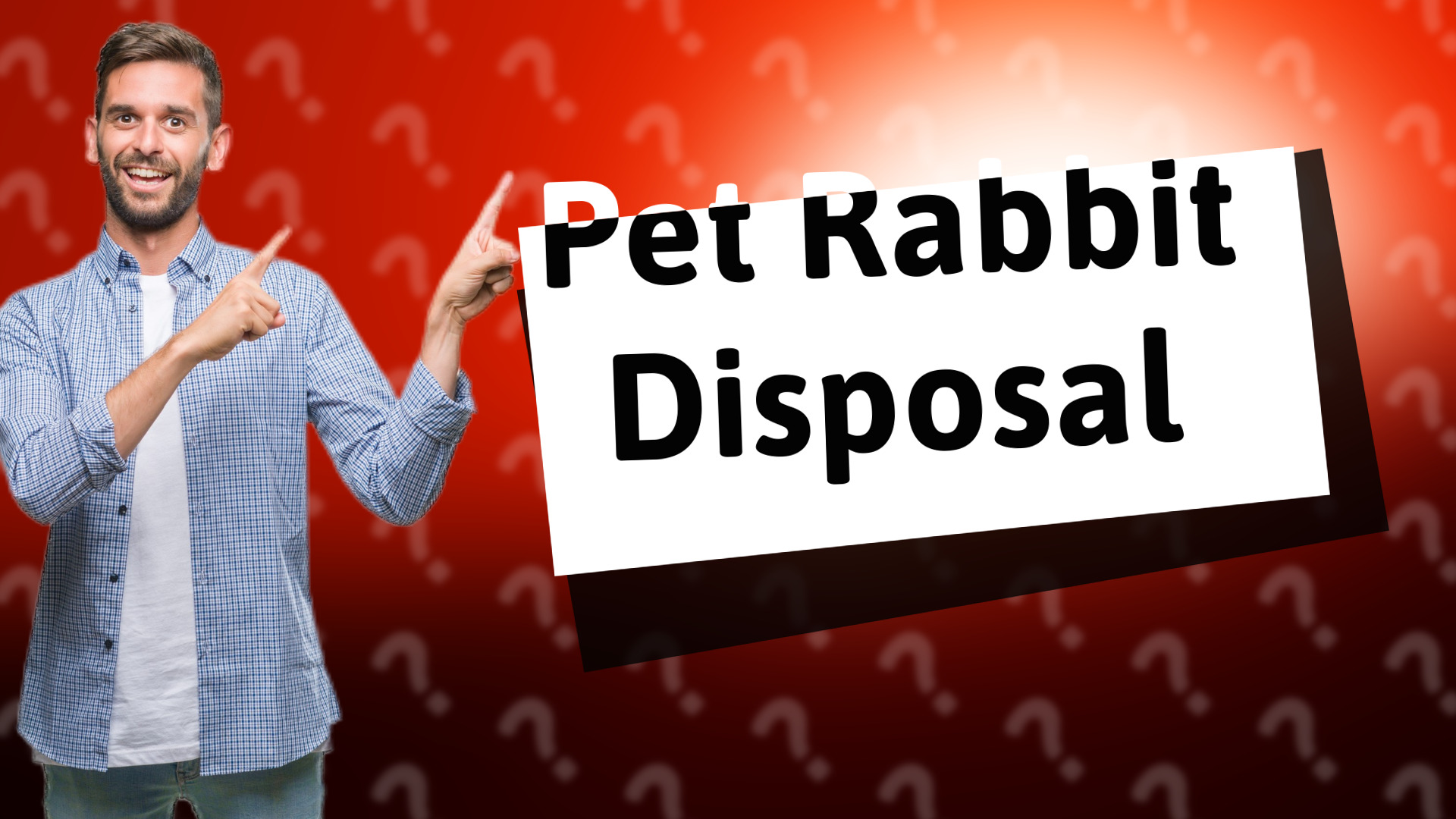Pet Rabbit Disposal