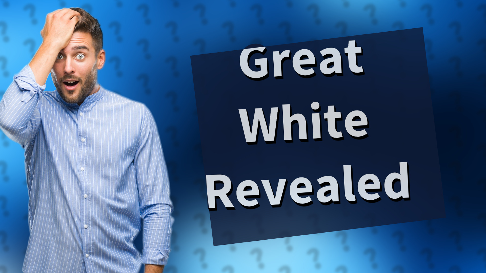 Great White Revealed