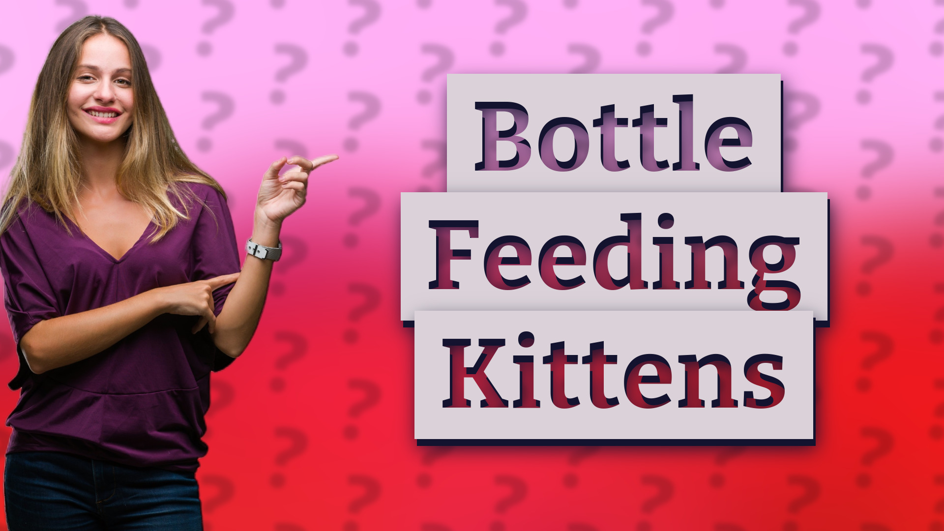 Bottle Feeding Kittens