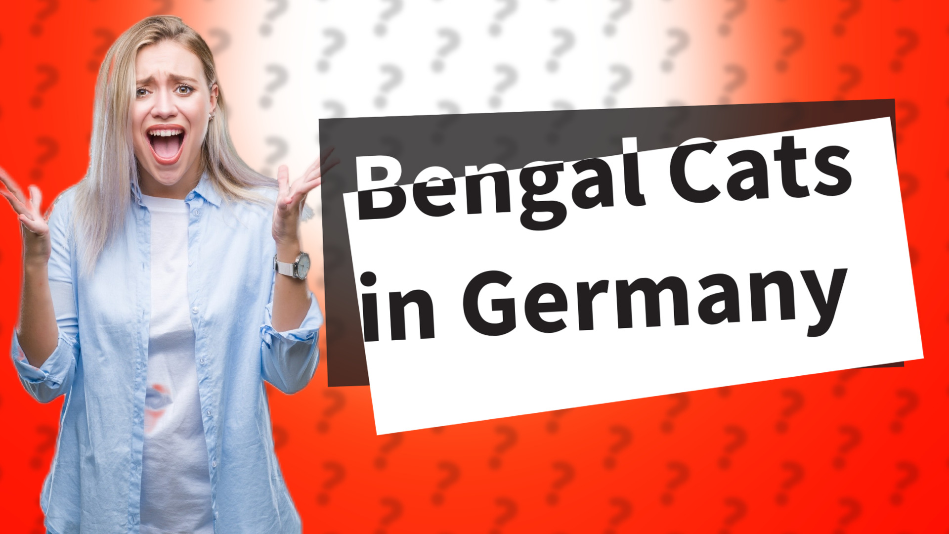 Bengal Cats in Germany