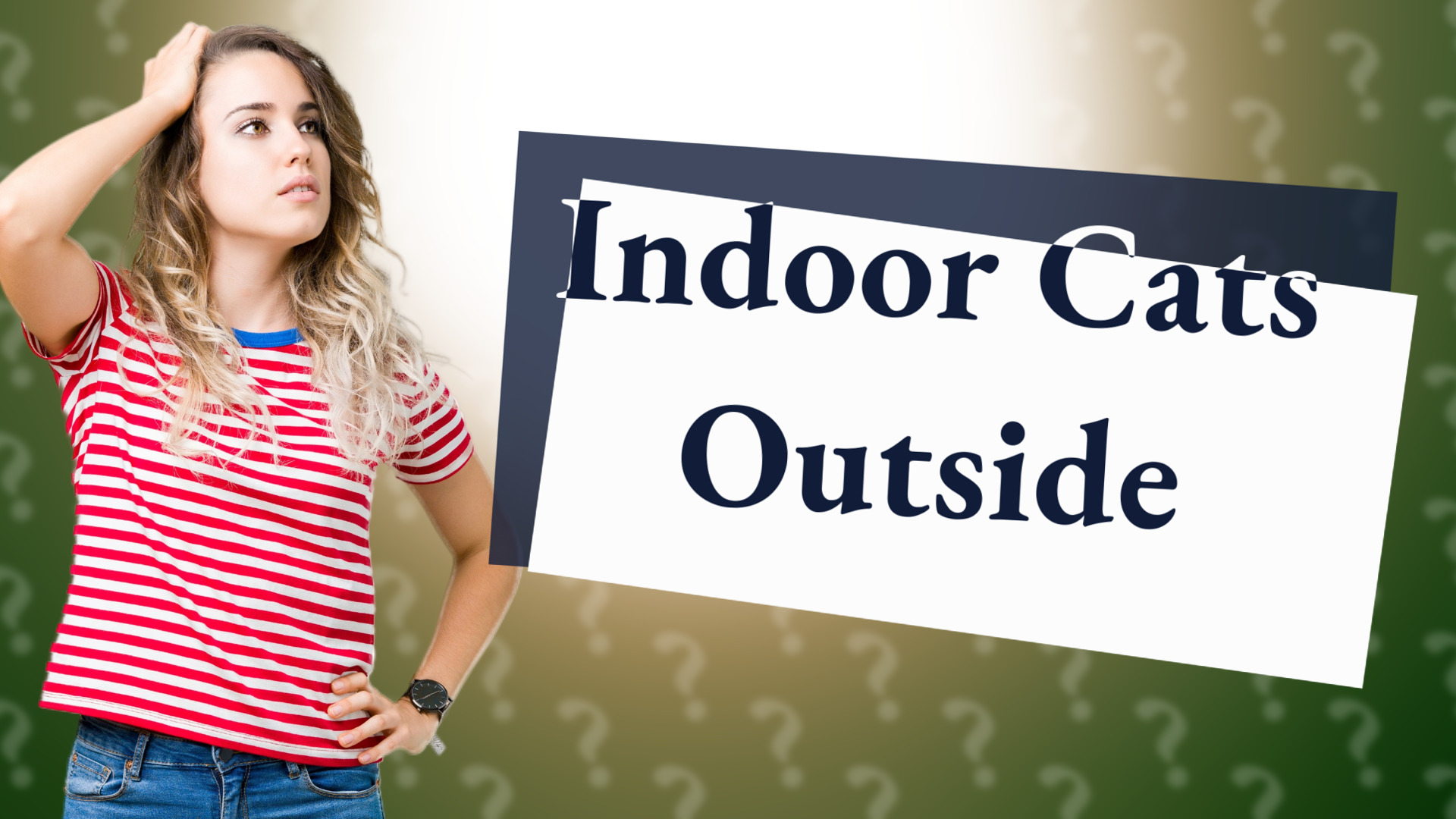 Indoor Cats Outside