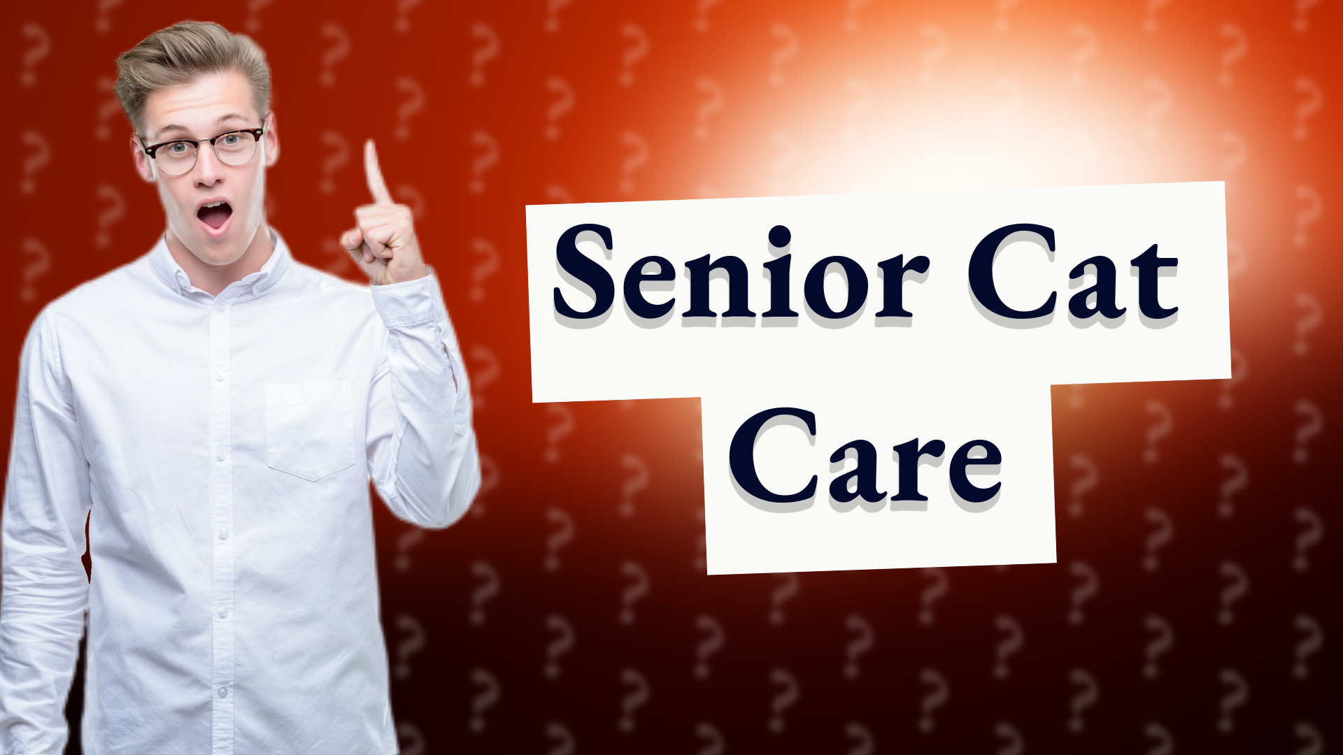 Senior Cat Care