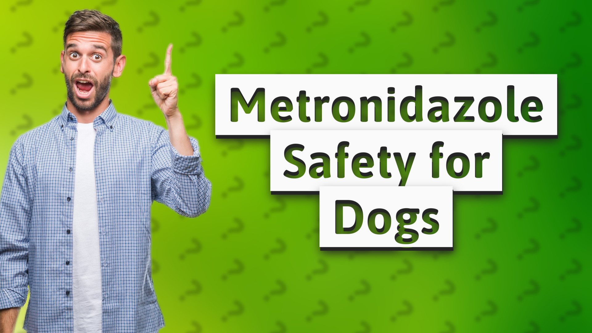 Metronidazole Safety for Dogs