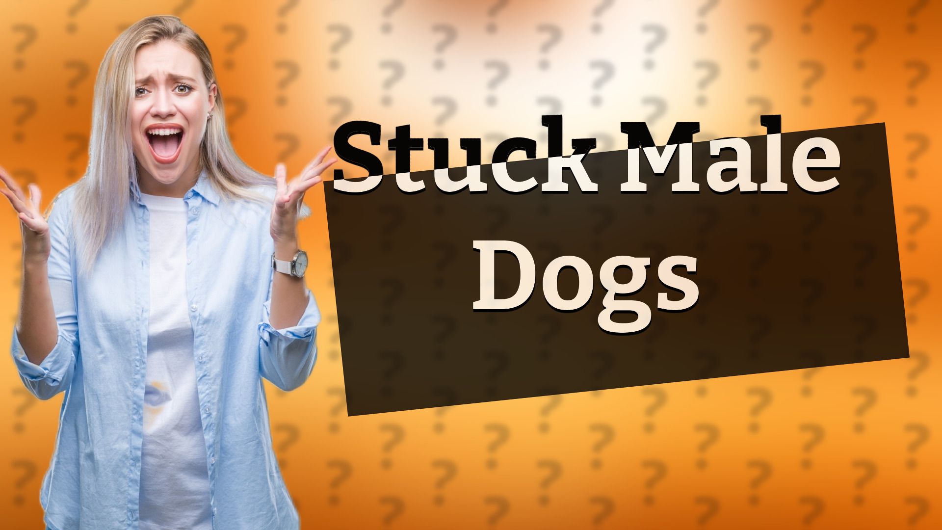 Stuck Male Dogs