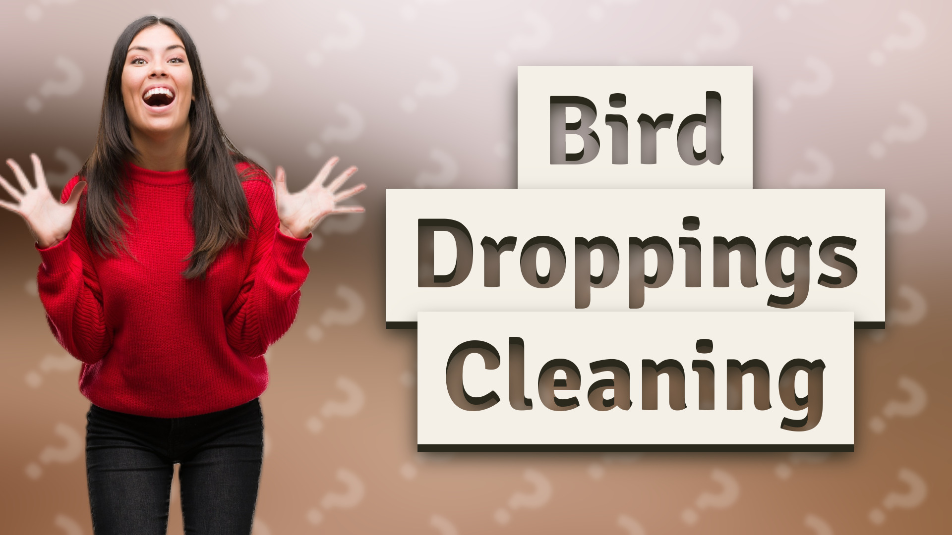Bird Droppings Cleaning