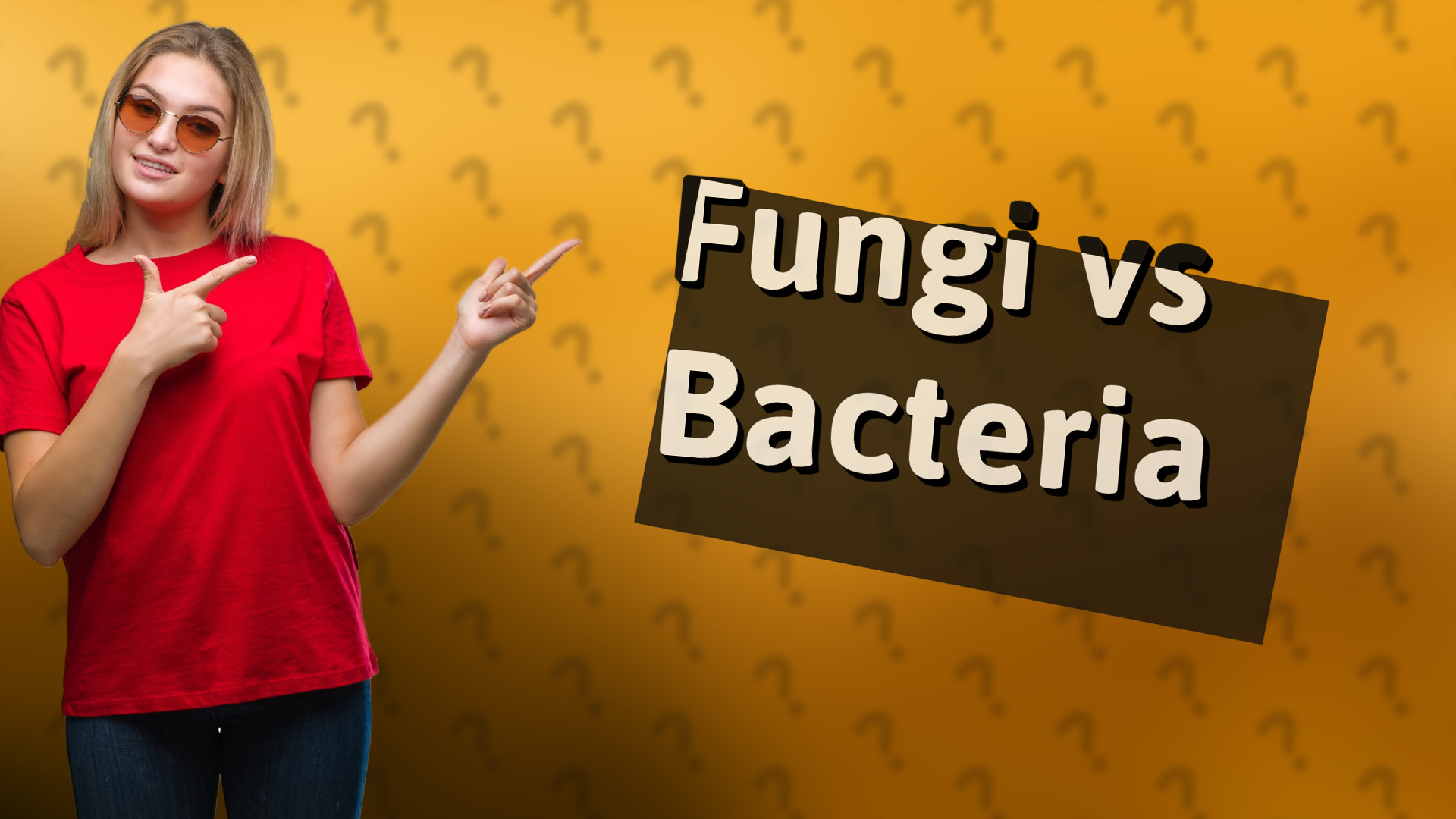Fungi vs Bacteria