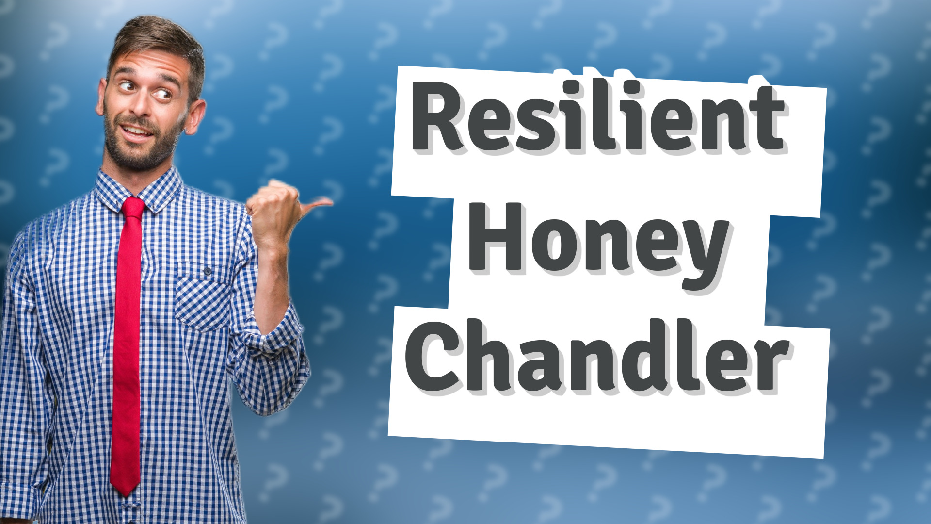 Resilient Honey Chandler