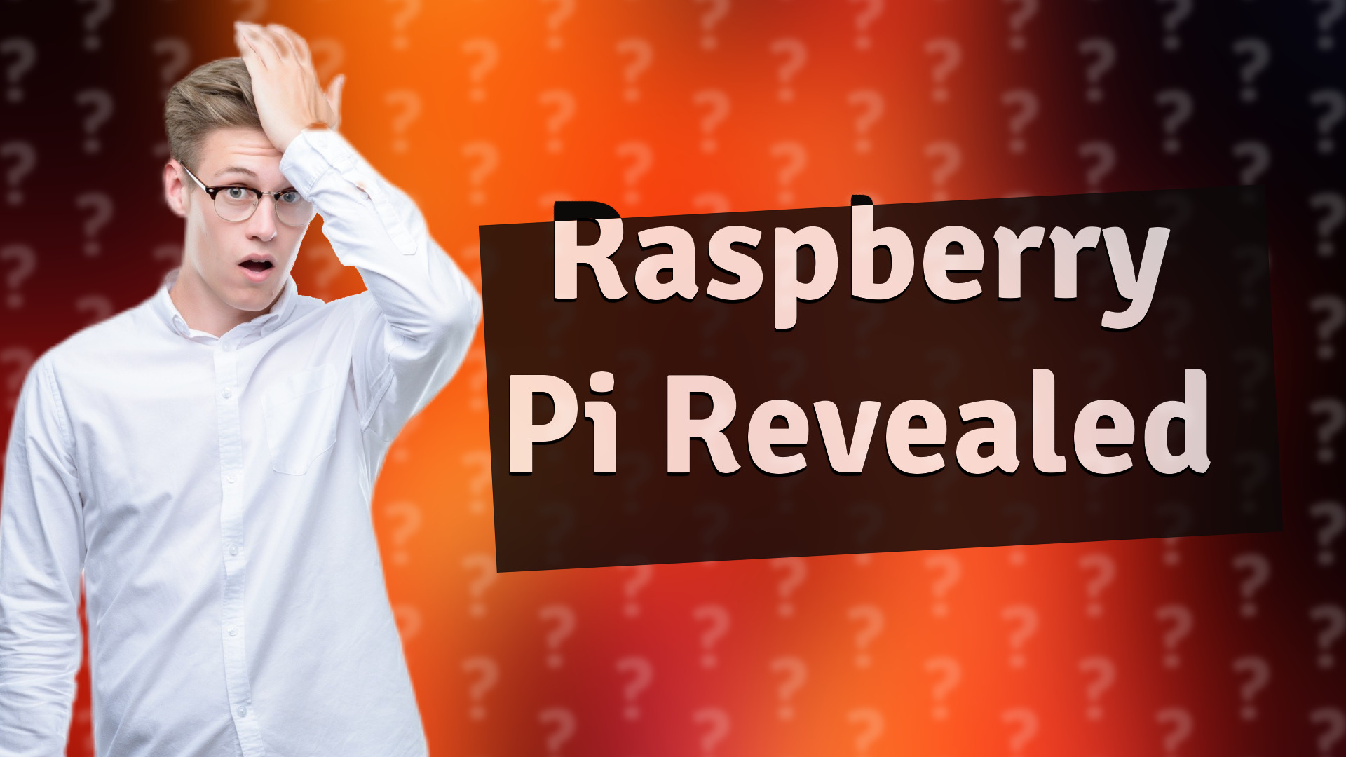 Raspberry Pi Revealed