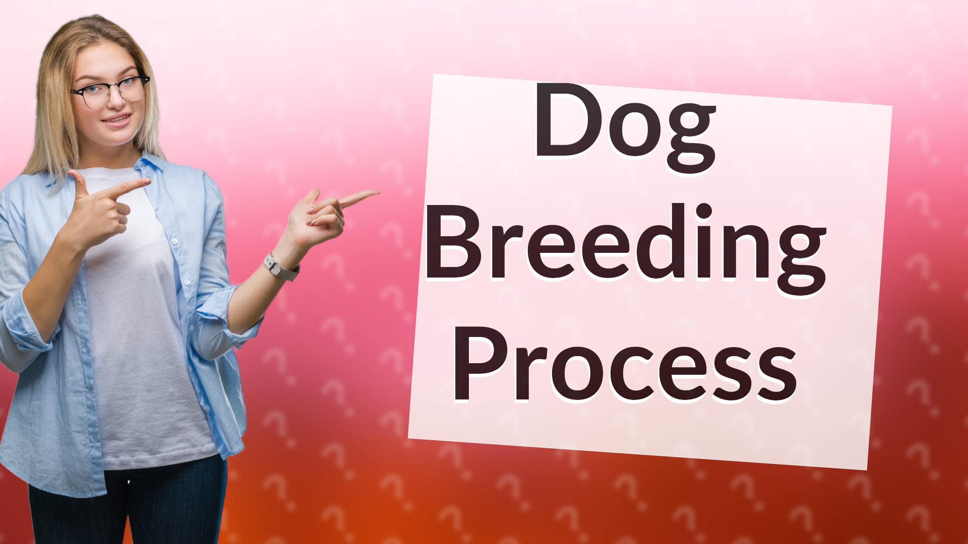 Dog Breeding Process
