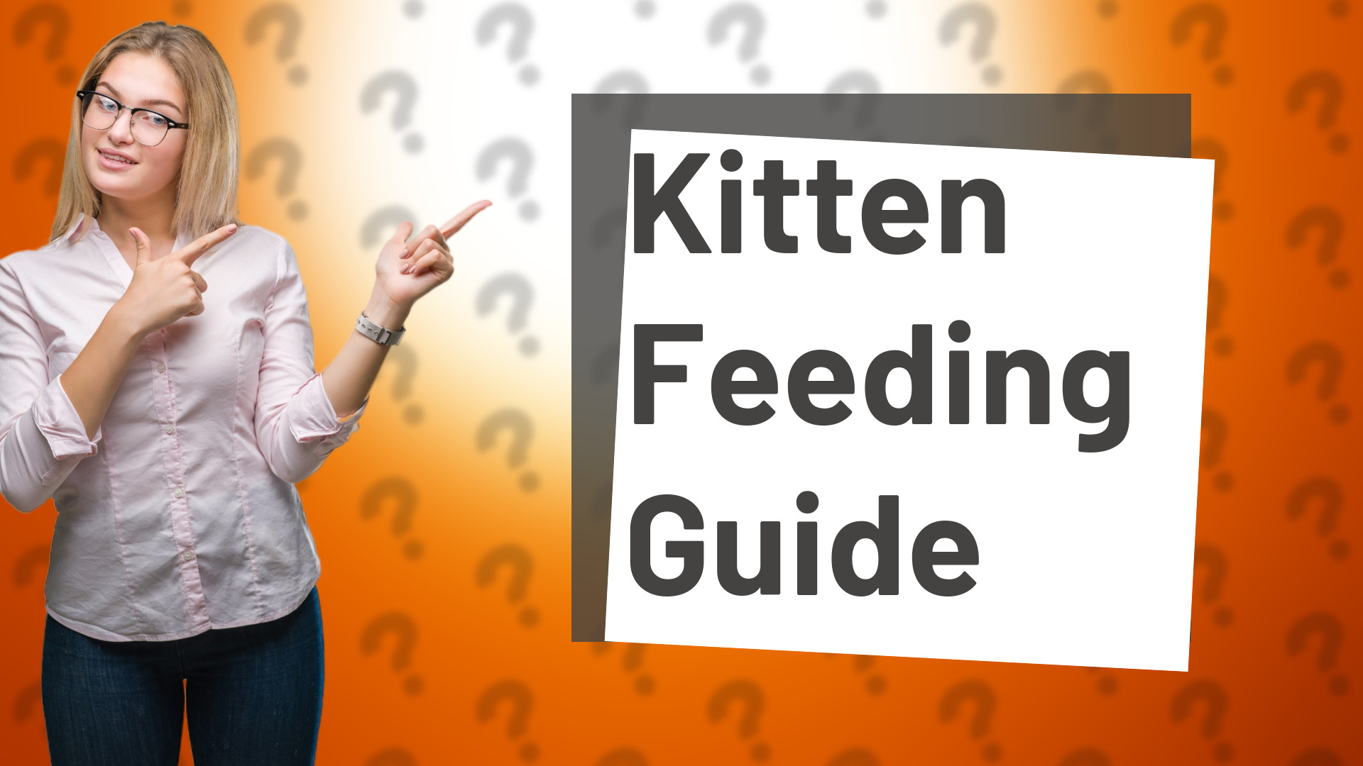 Kitten Feeding Guide