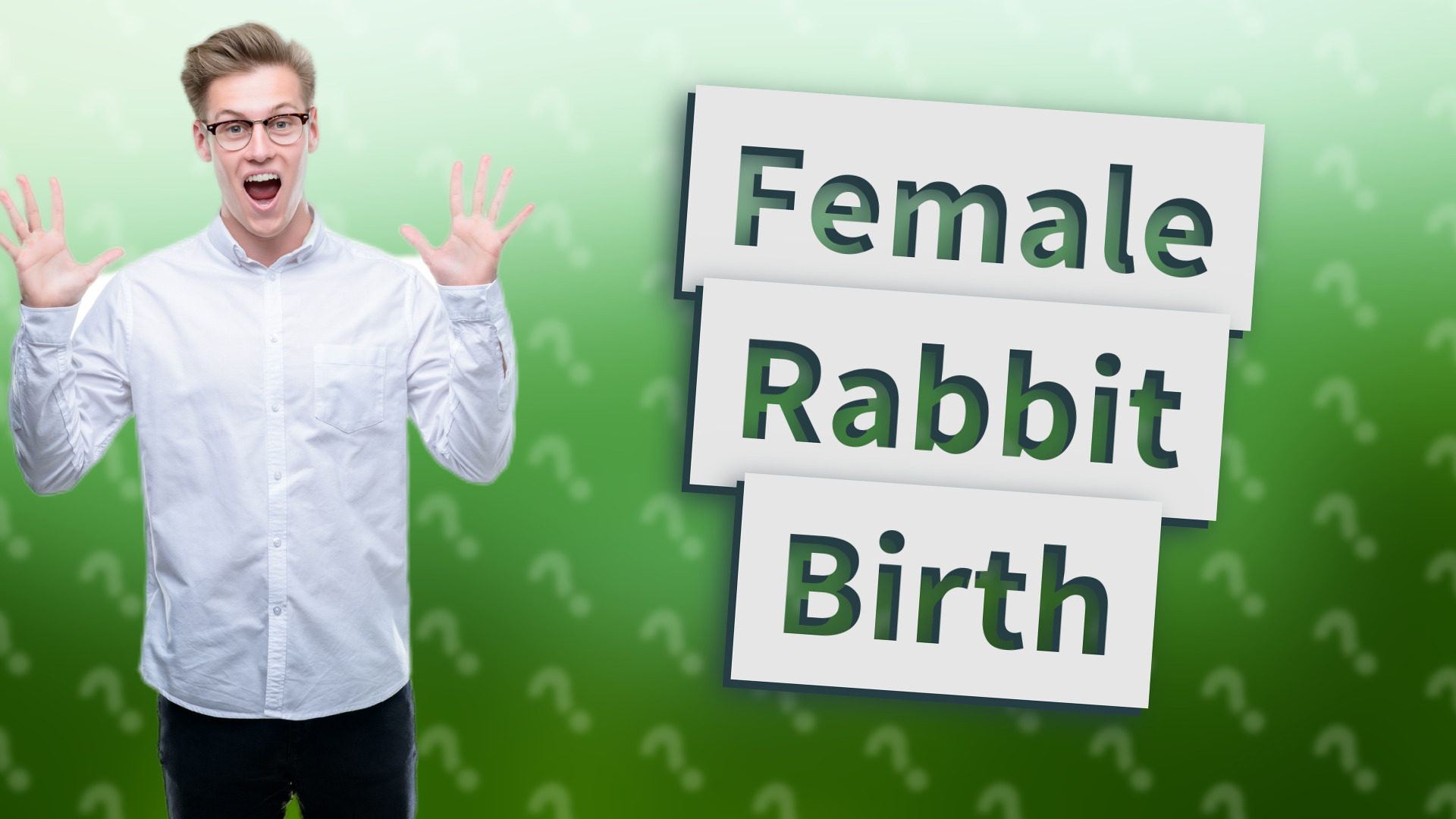 Female Rabbit Birth