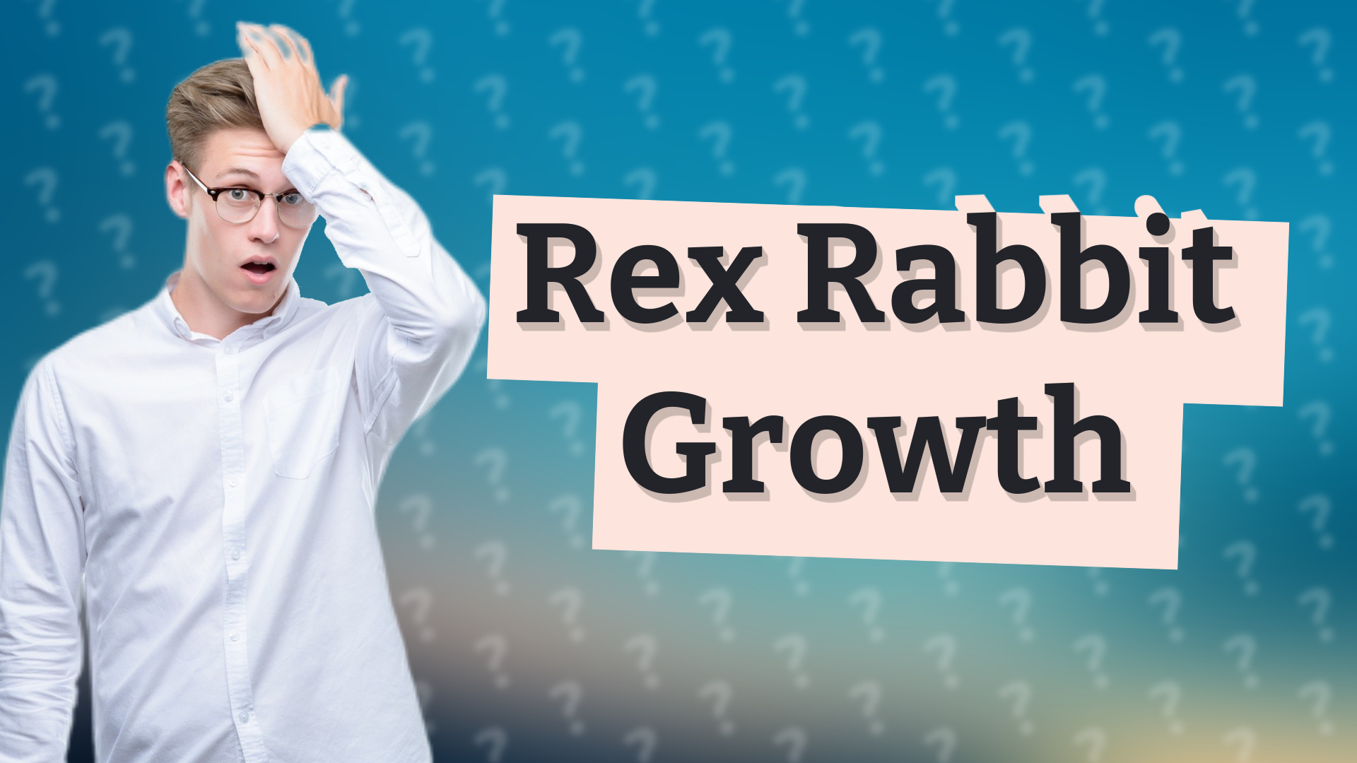 Rex Rabbit Growth