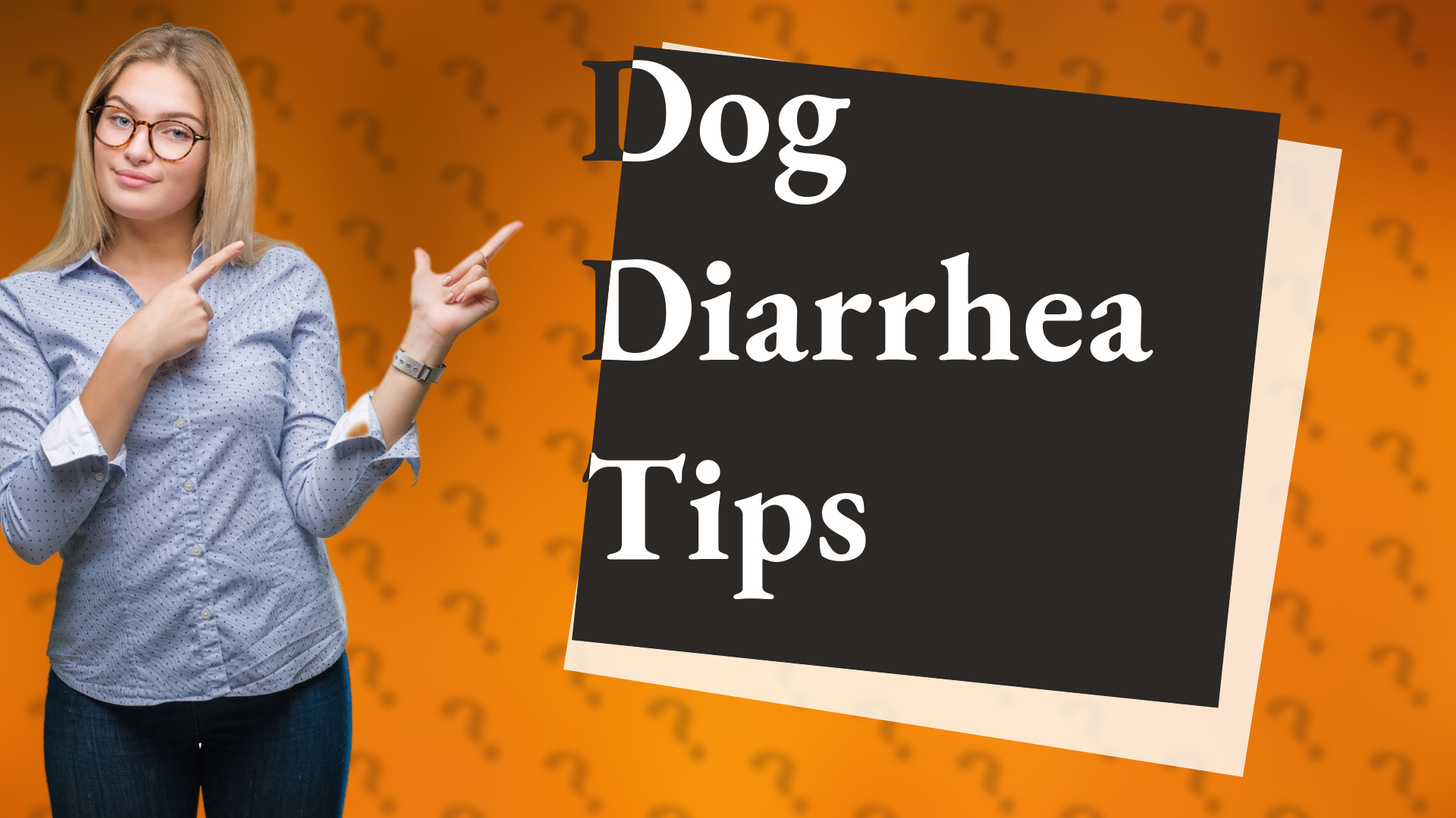 Dog Diarrhea Tips
