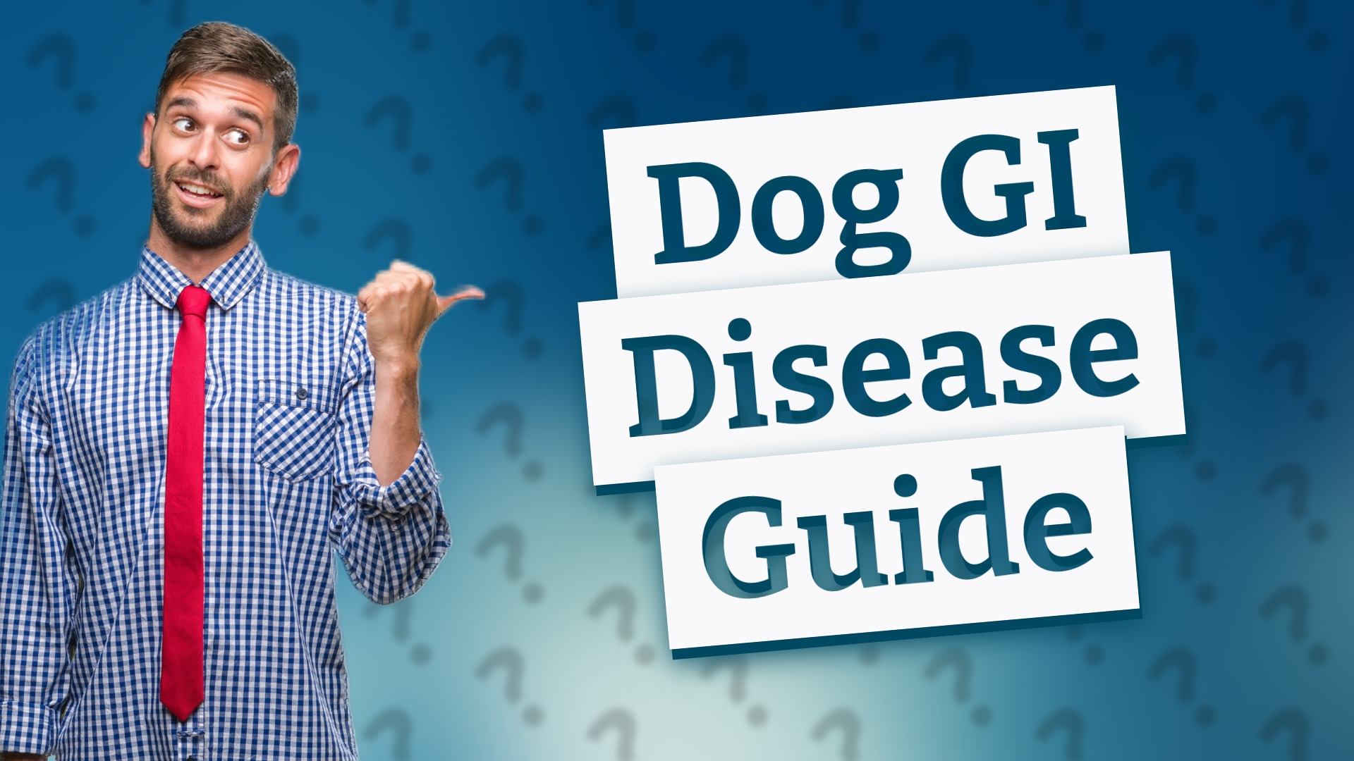 Dog GI Disease Guide