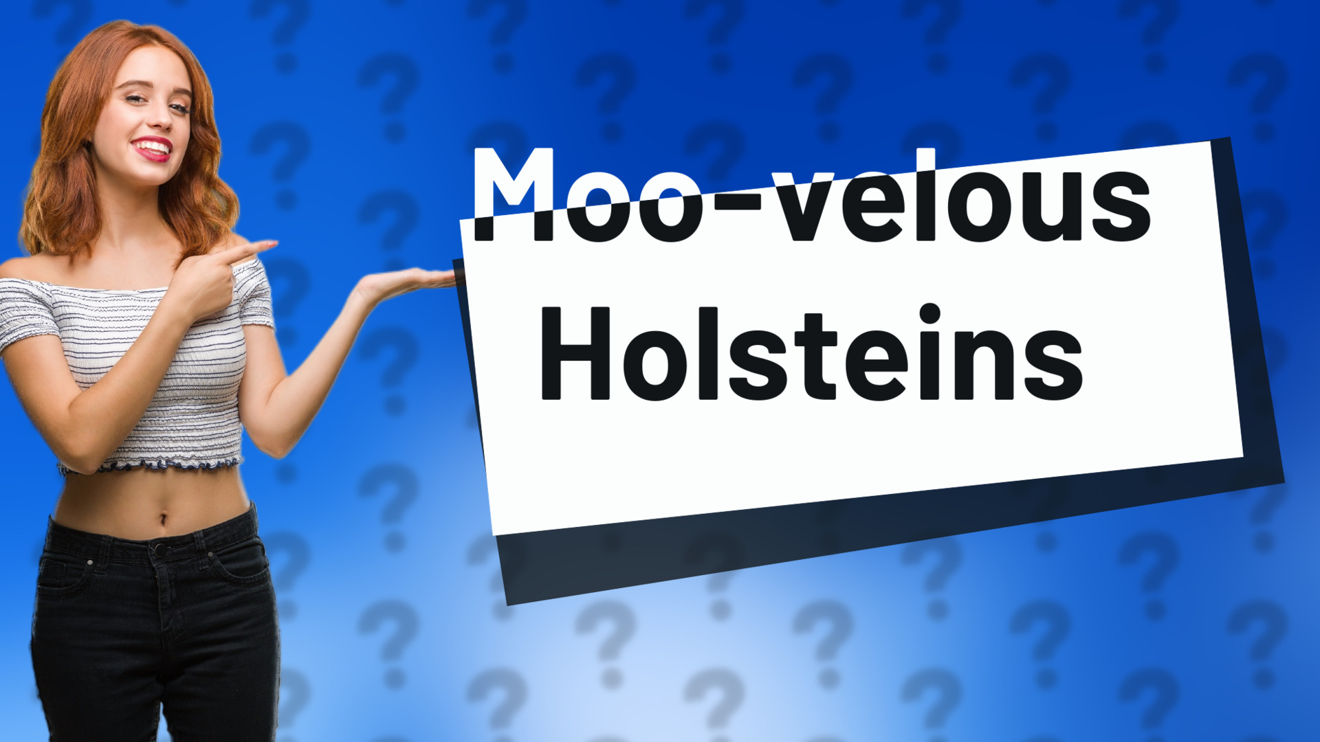 Moo-velous Holsteins