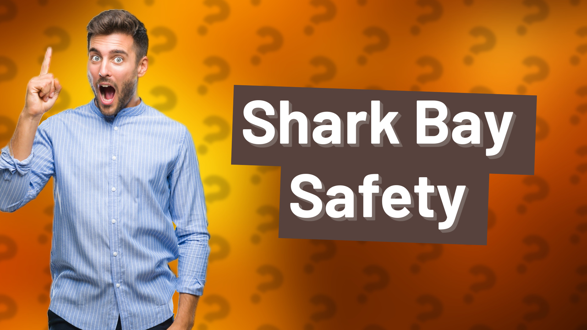 Shark Bay Safety