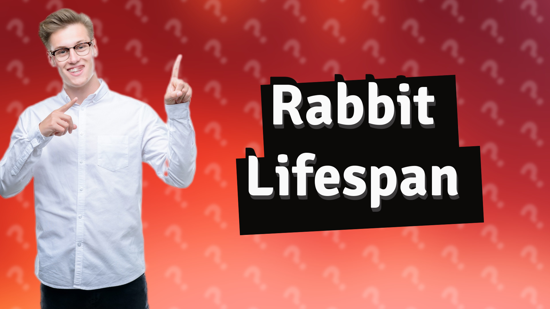 Rabbit Lifespan