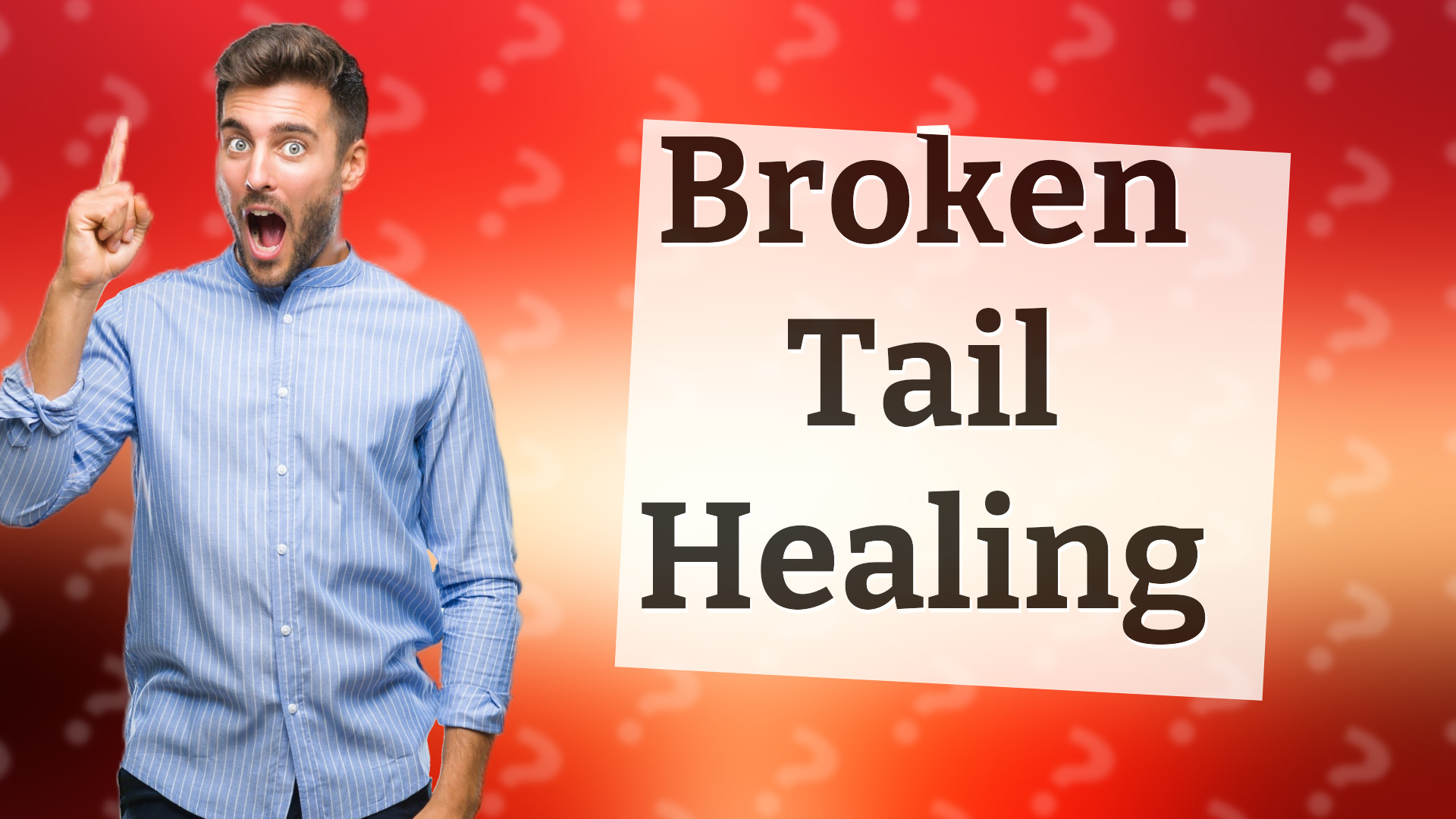 Broken Tail Healing