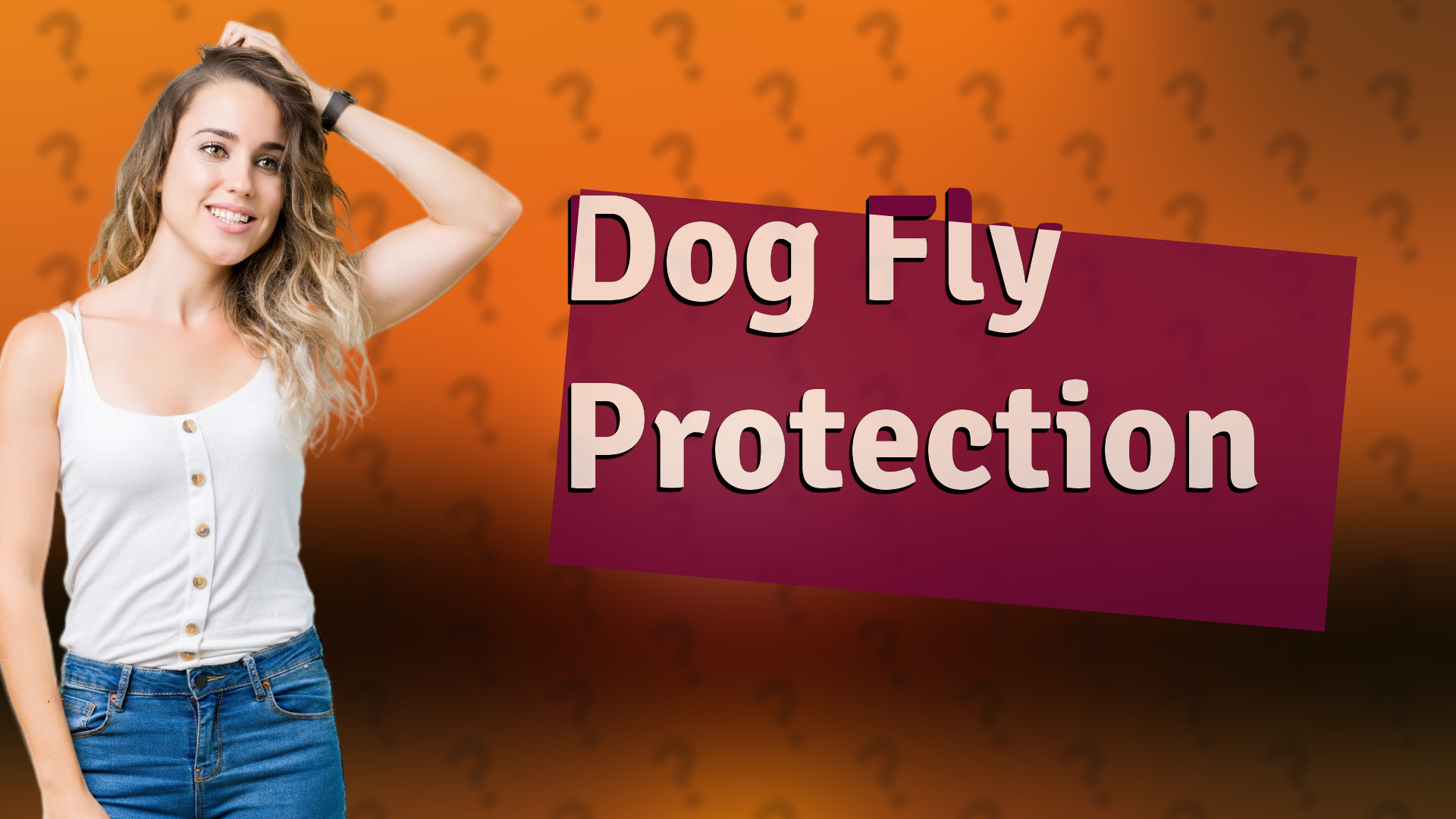 Dog Fly Protection