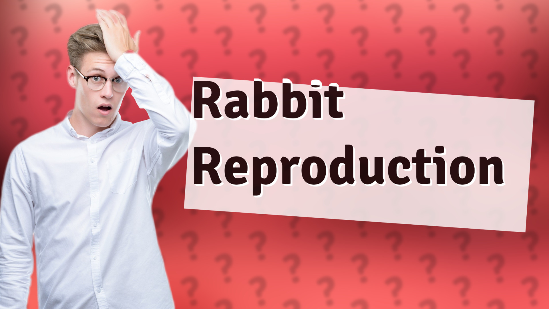 Rabbit Reproduction