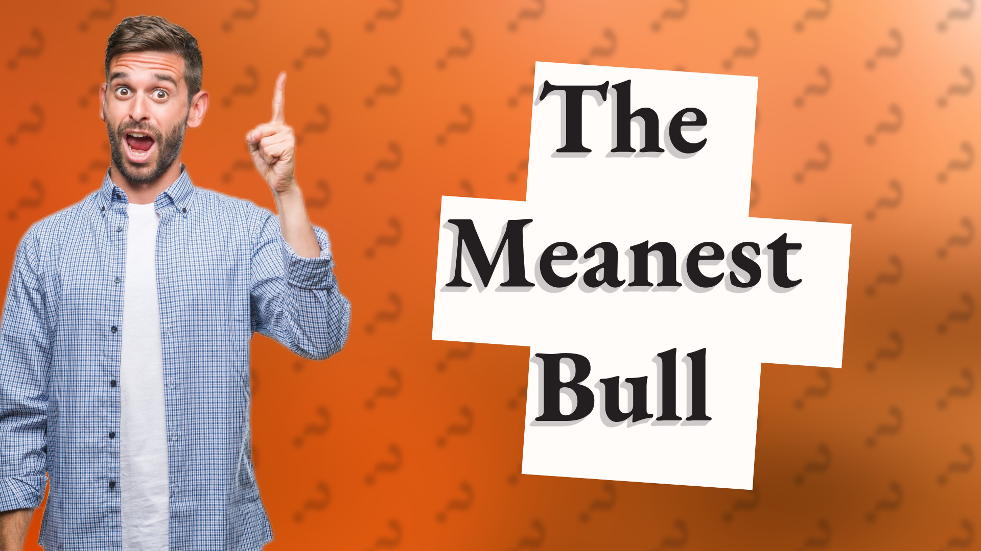 The Meanest Bull