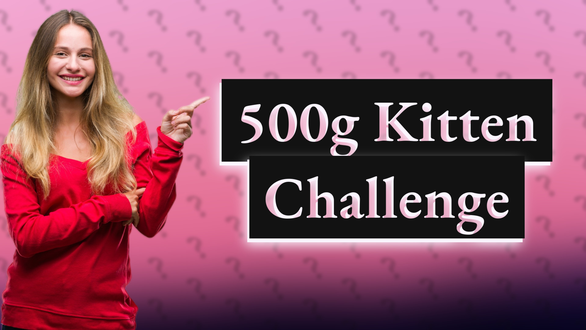 500g Kitten Challenge