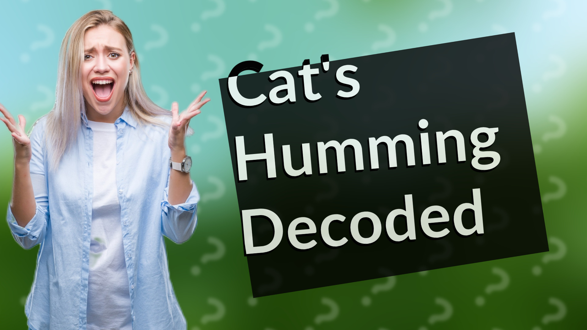 Cat's Humming Decoded