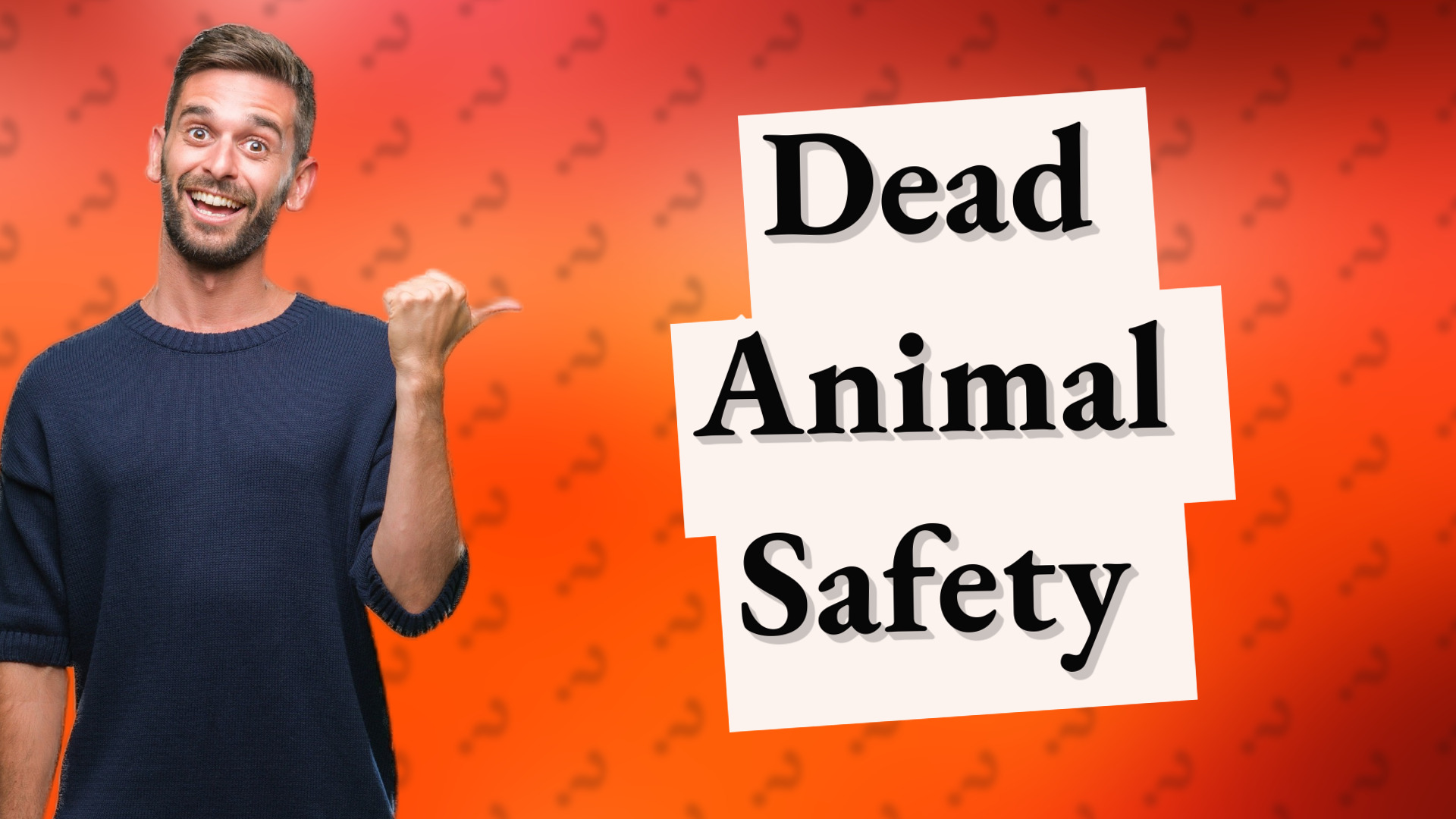 Dead Animal Safety