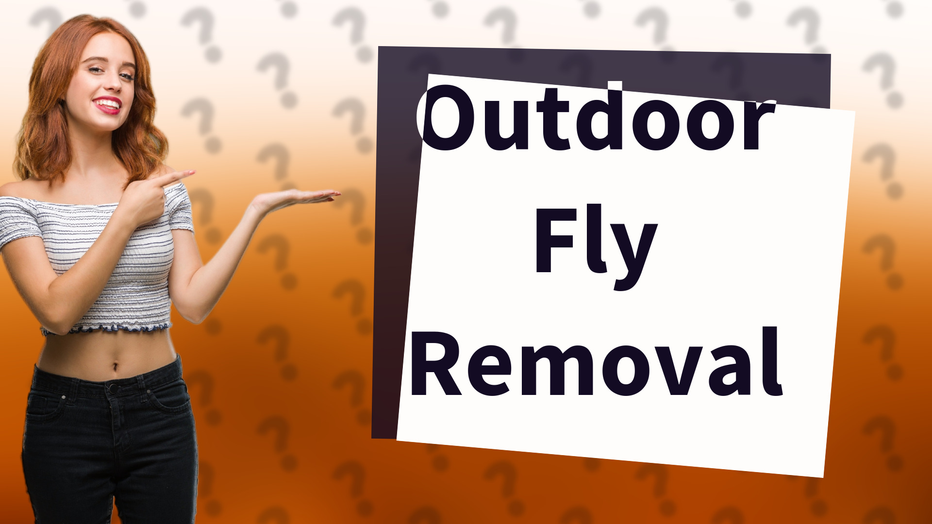 Outdoor Fly Removal