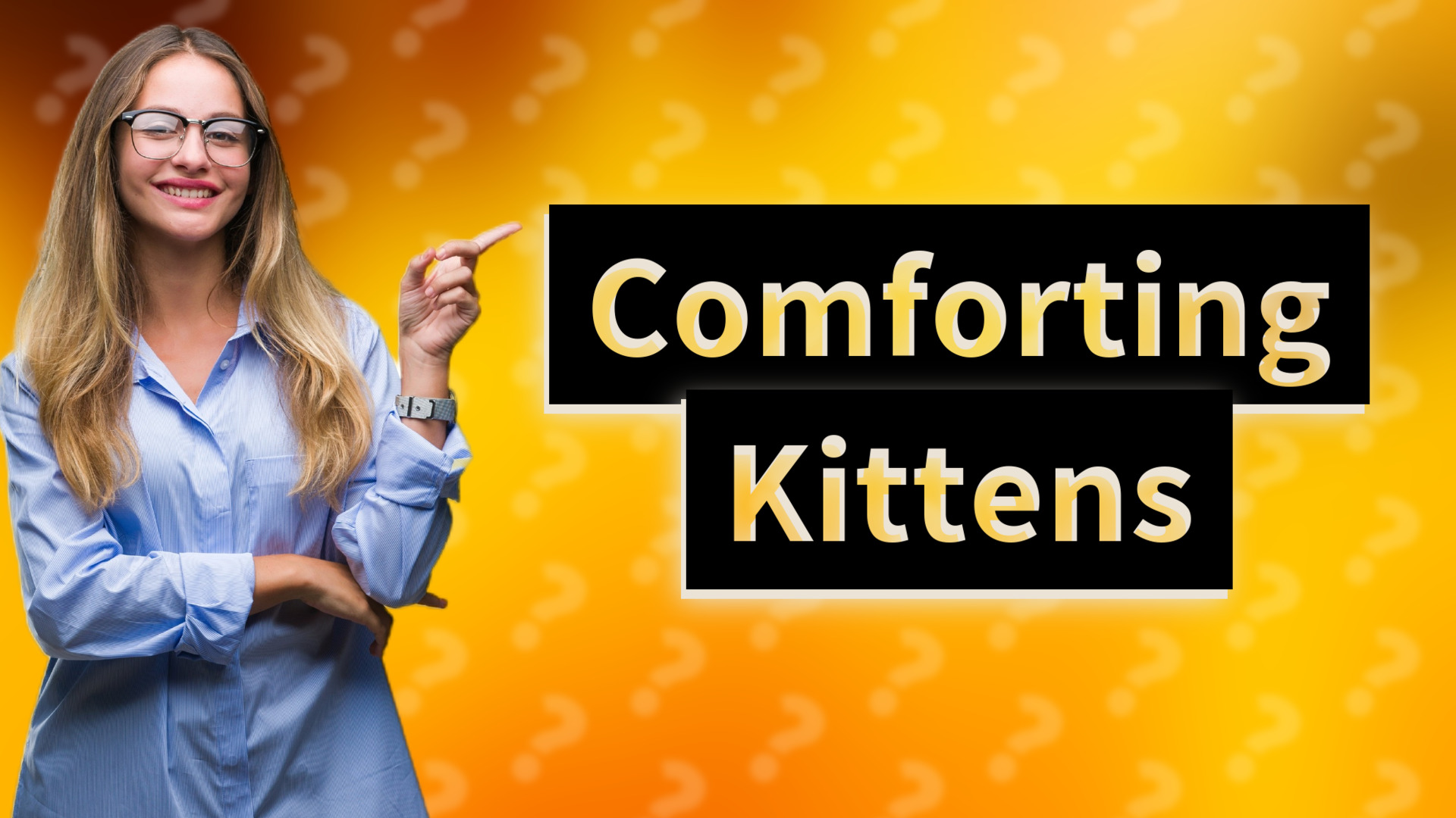 Comforting Kittens