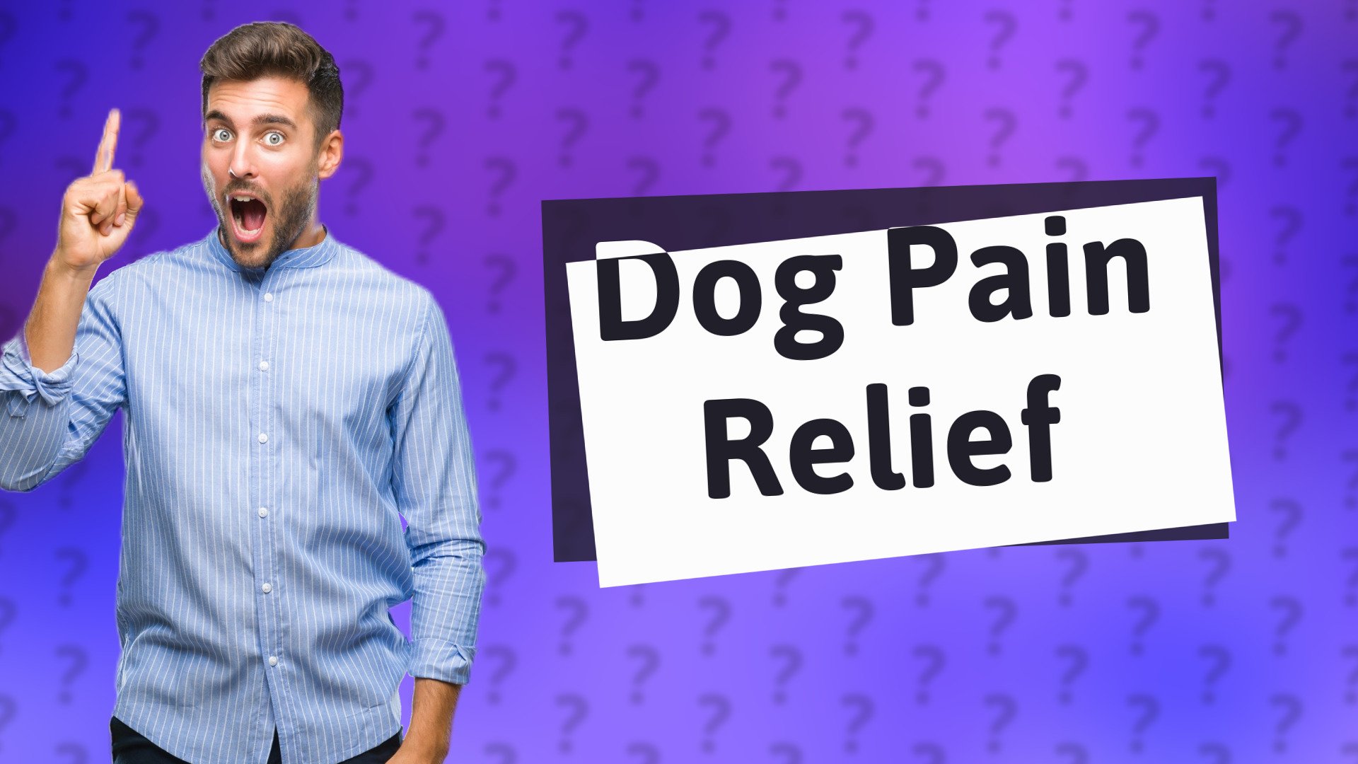 Dog Pain Relief