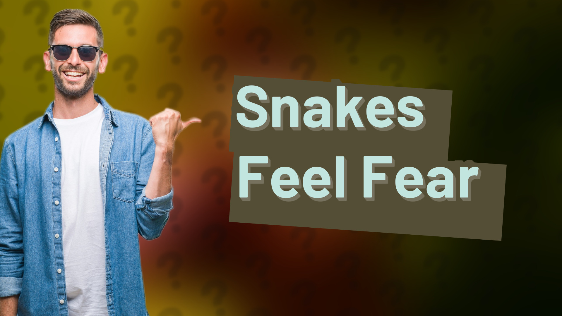 Snakes Feel Fear