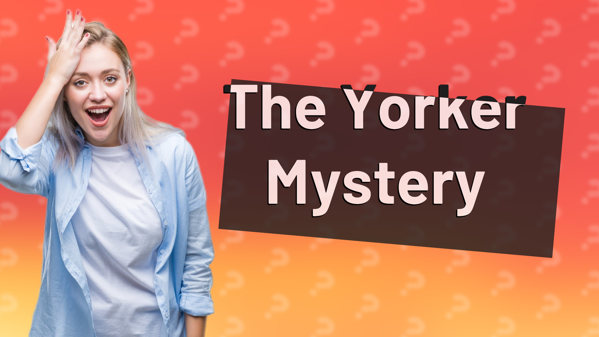 The Yorker Mystery