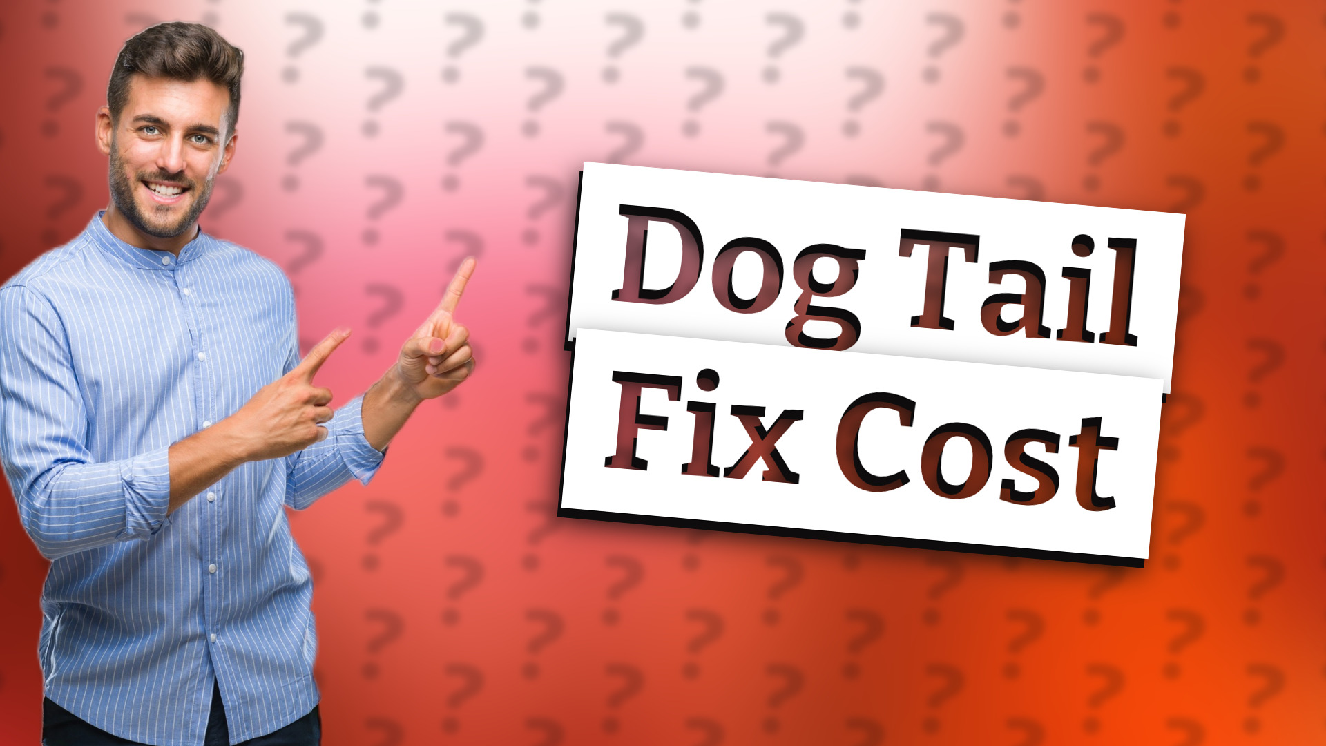 Dog Tail Fix Cost