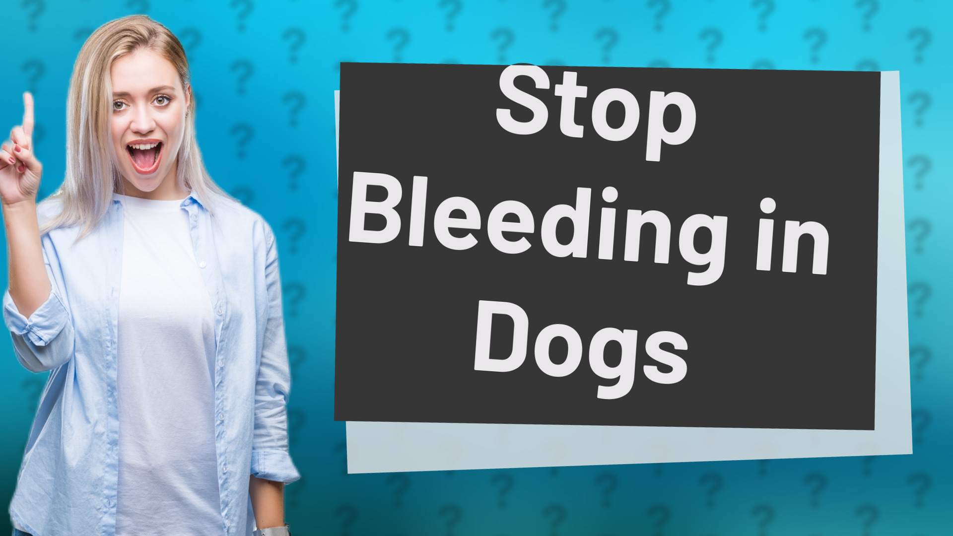 Stop Bleeding in Dogs