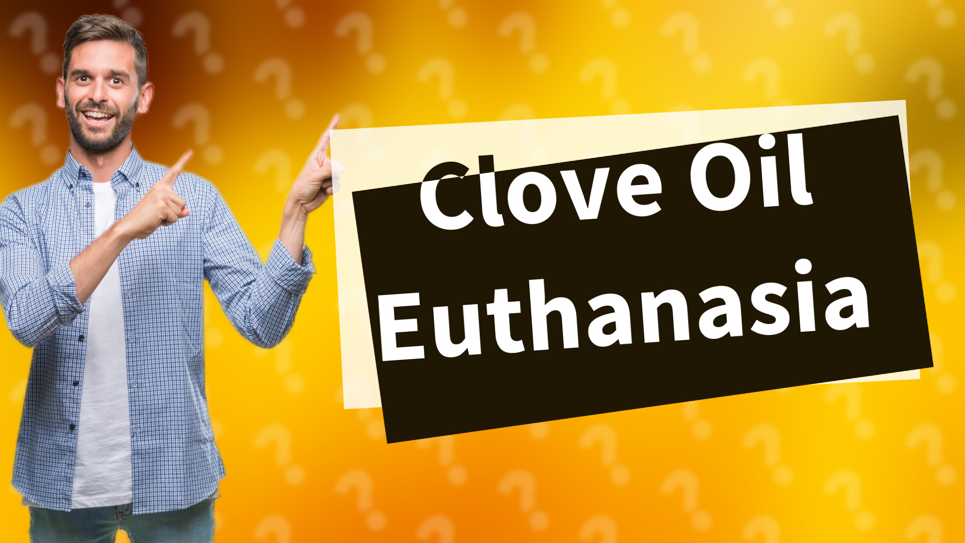 Clove Oil Euthanasia