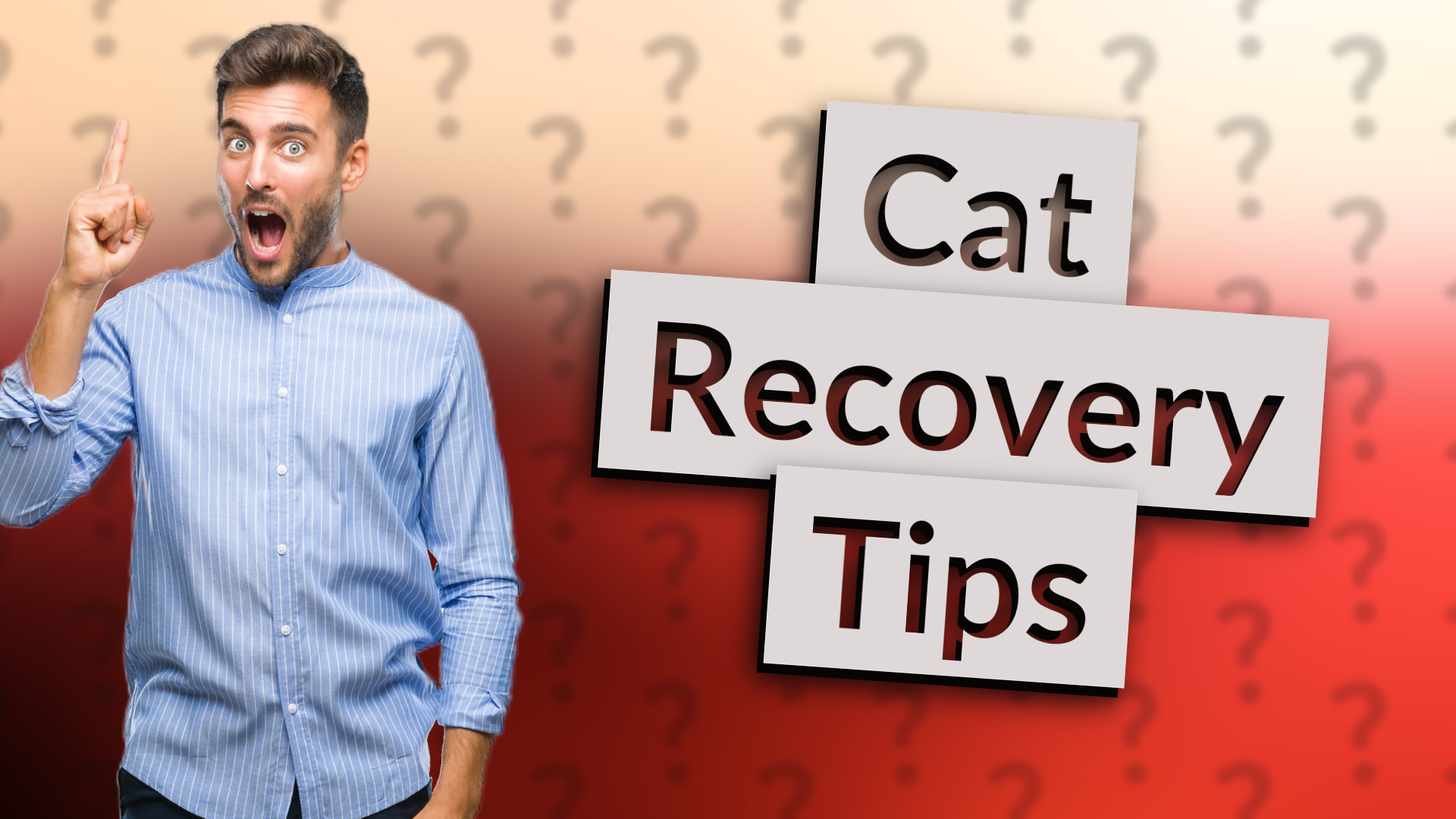 Cat Recovery Tips