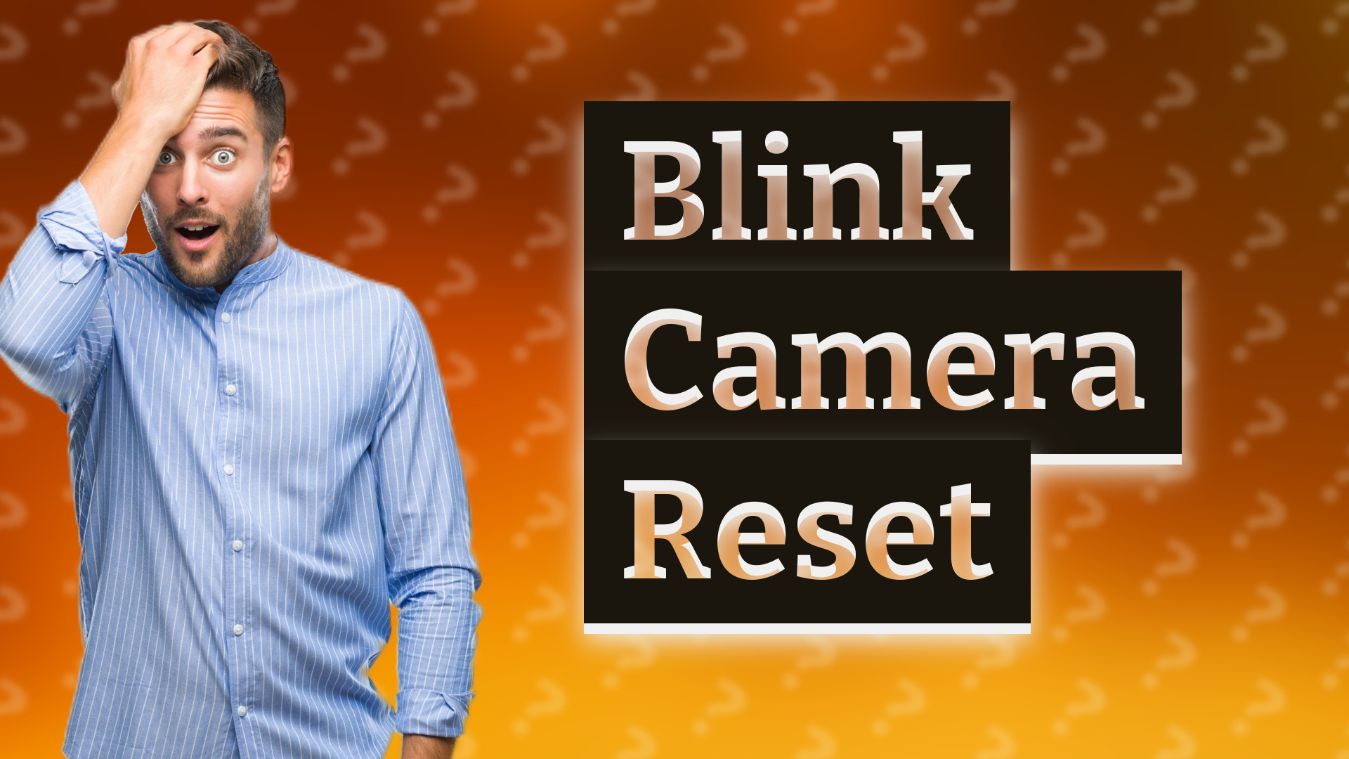 Blink Camera Reset