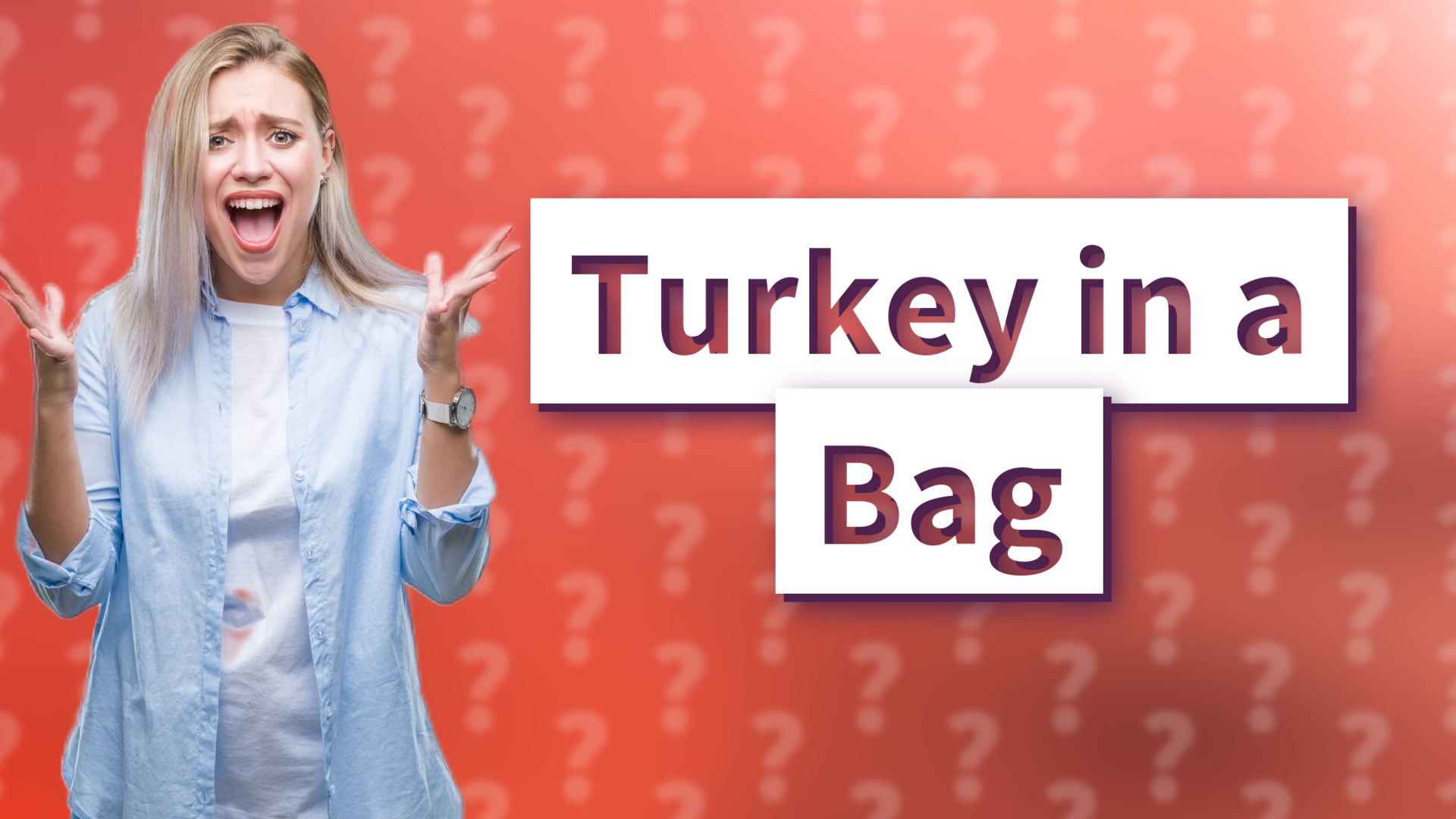 Turkey in a Bag