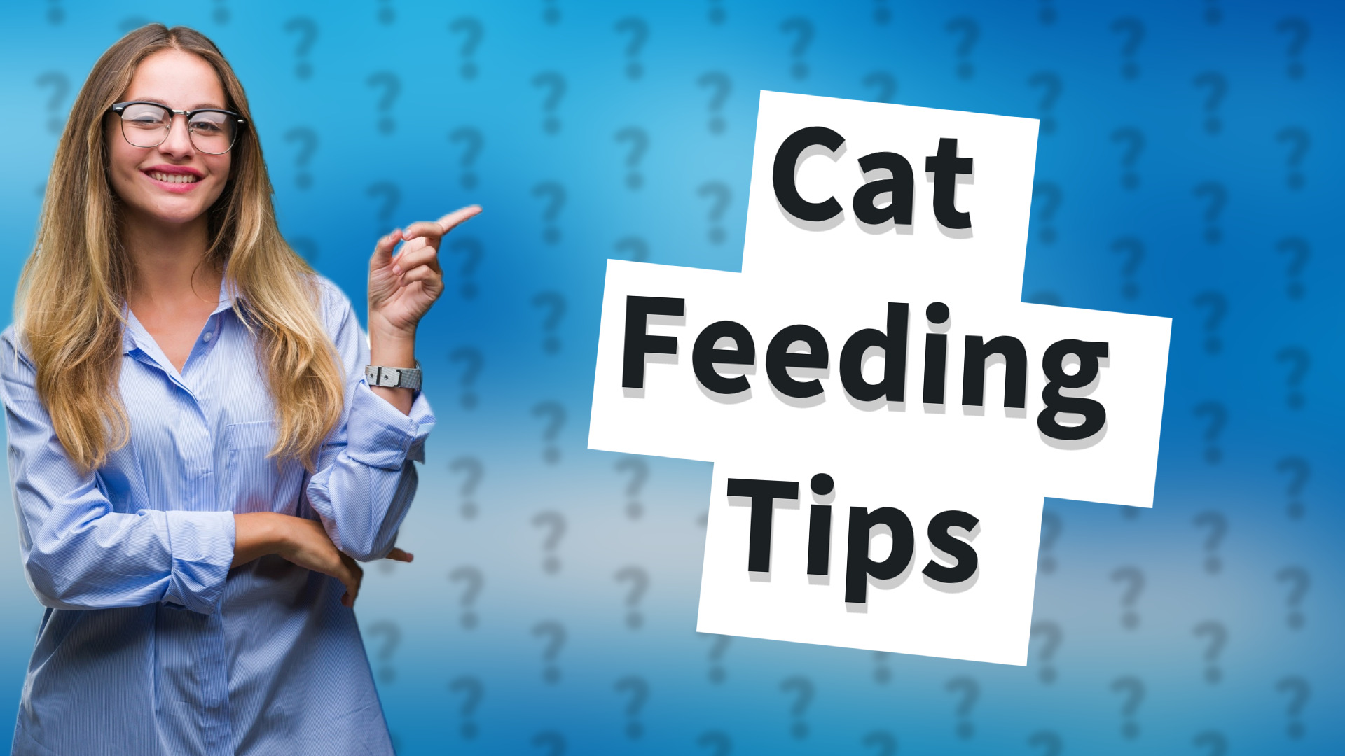 Cat Feeding Tips