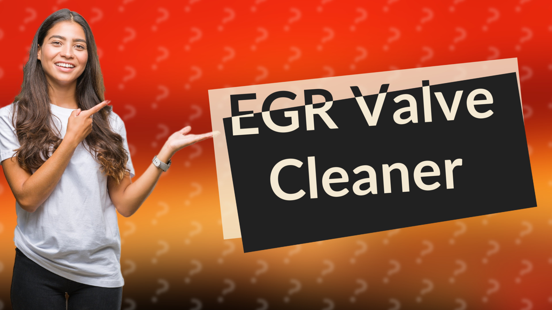 EGR Valve Cleaner