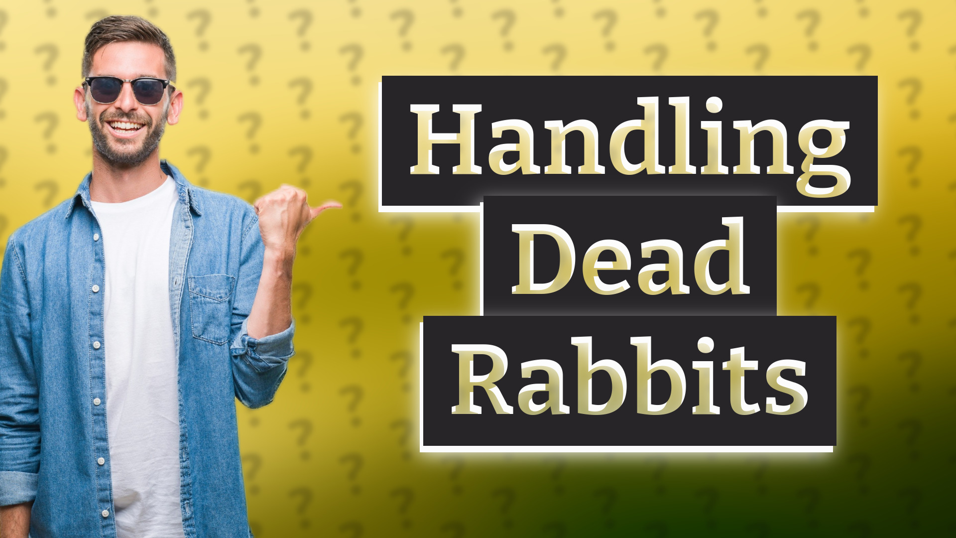 Handling Dead Rabbits