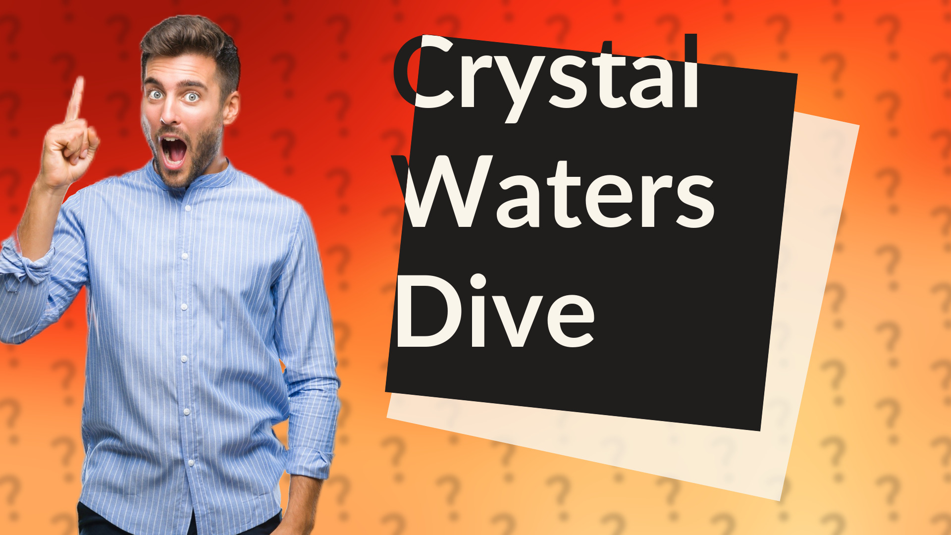 Crystal Waters Dive