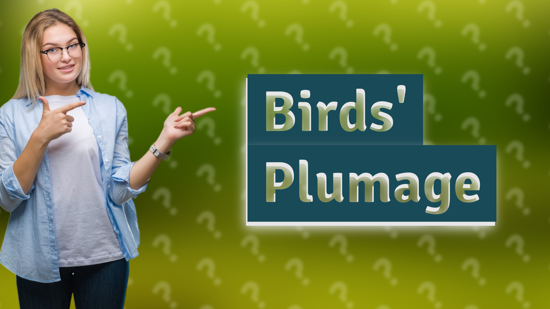 Birds' Plumage