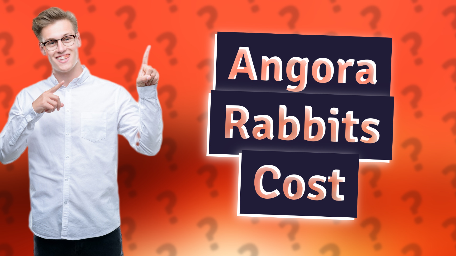 Angora Rabbits Cost