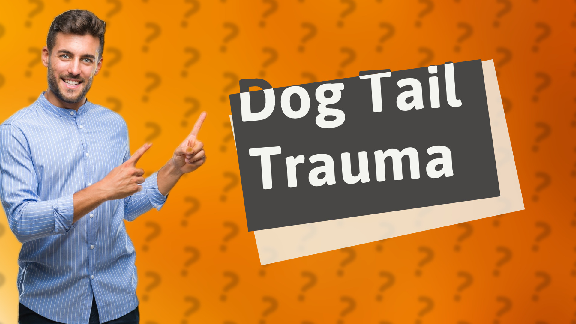 Dog Tail Trauma